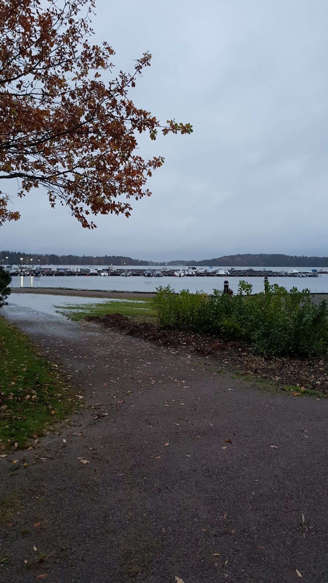 lohja1
