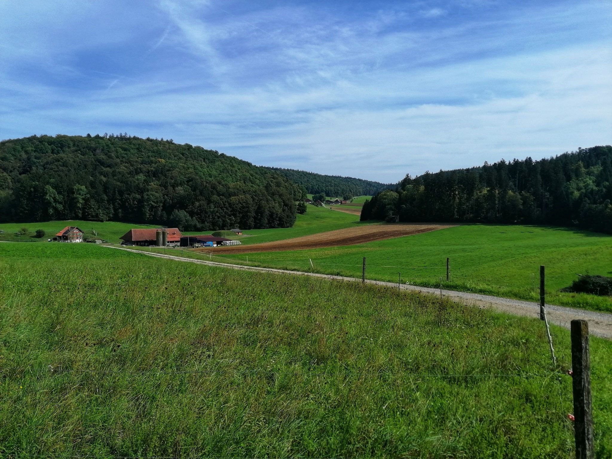 Rüti und Wattwilerhof