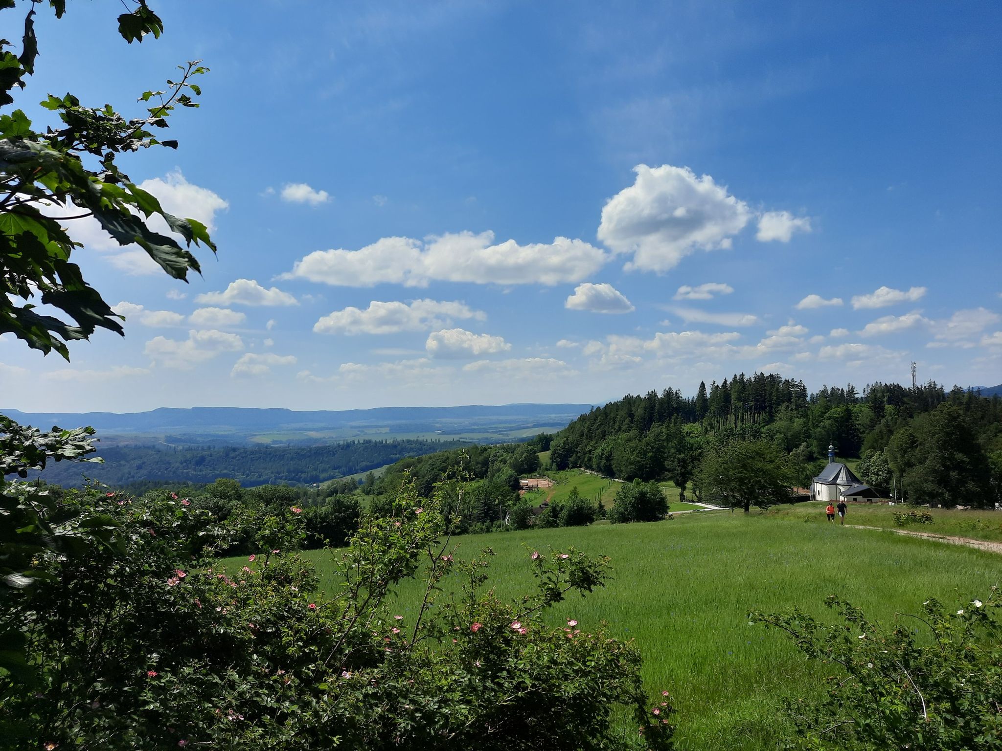 Blick zur Anaberkirche