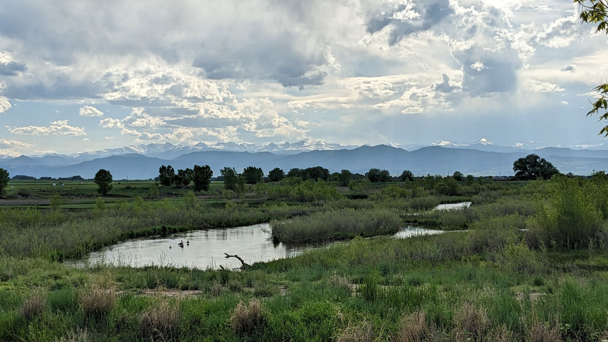 Expansive wetlands with ponds, green foliage, and distant mountains under cloudy sky. - Saint Vrain River Trail – St. Vrain River Trail loop from 119th St Trailhead