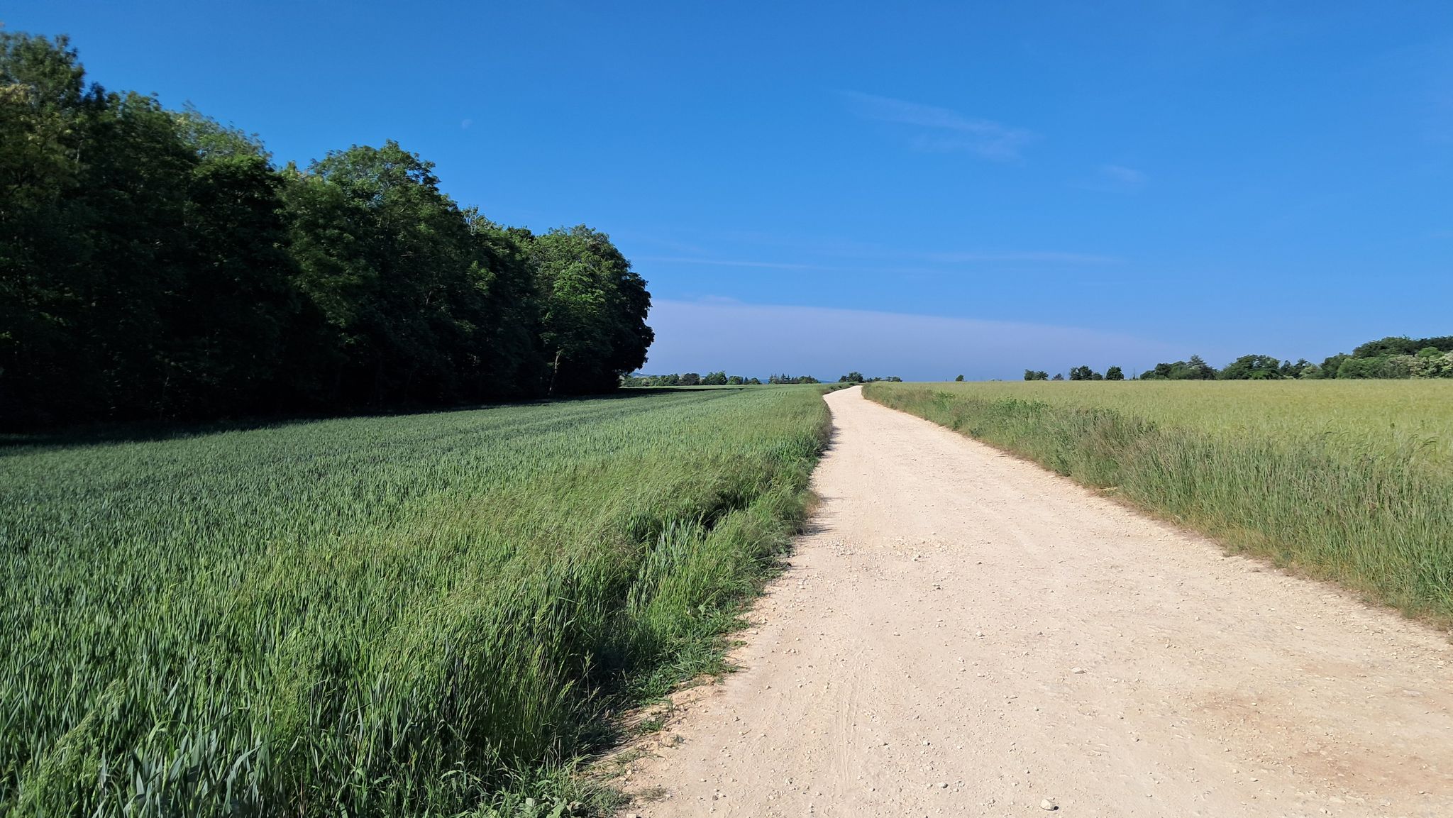 Chemin blanc sur le plateau d'Eulmont