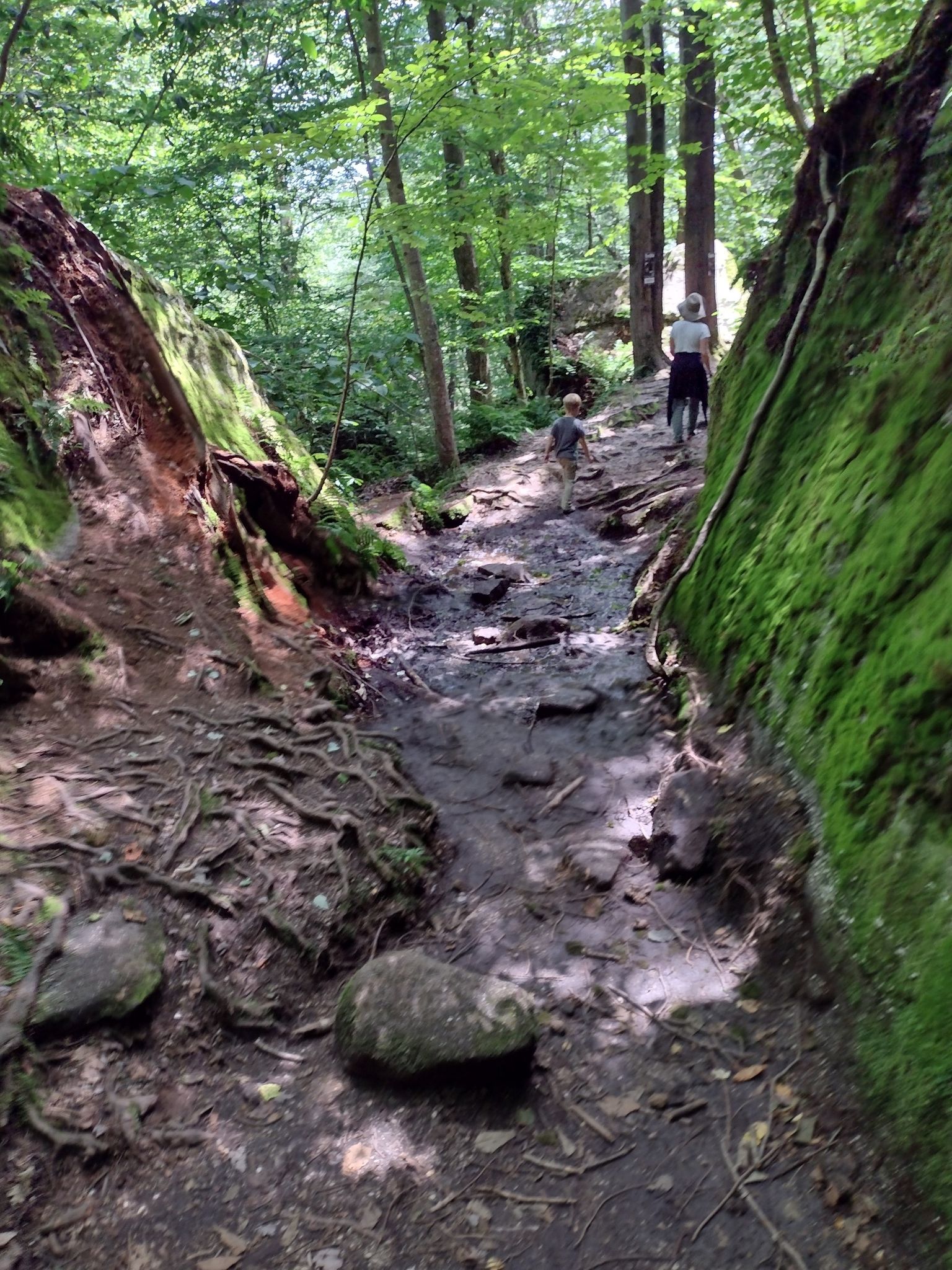 Two people walk a muddy, rocky path between moss-covered rock walls. - Panama Rocks Loop