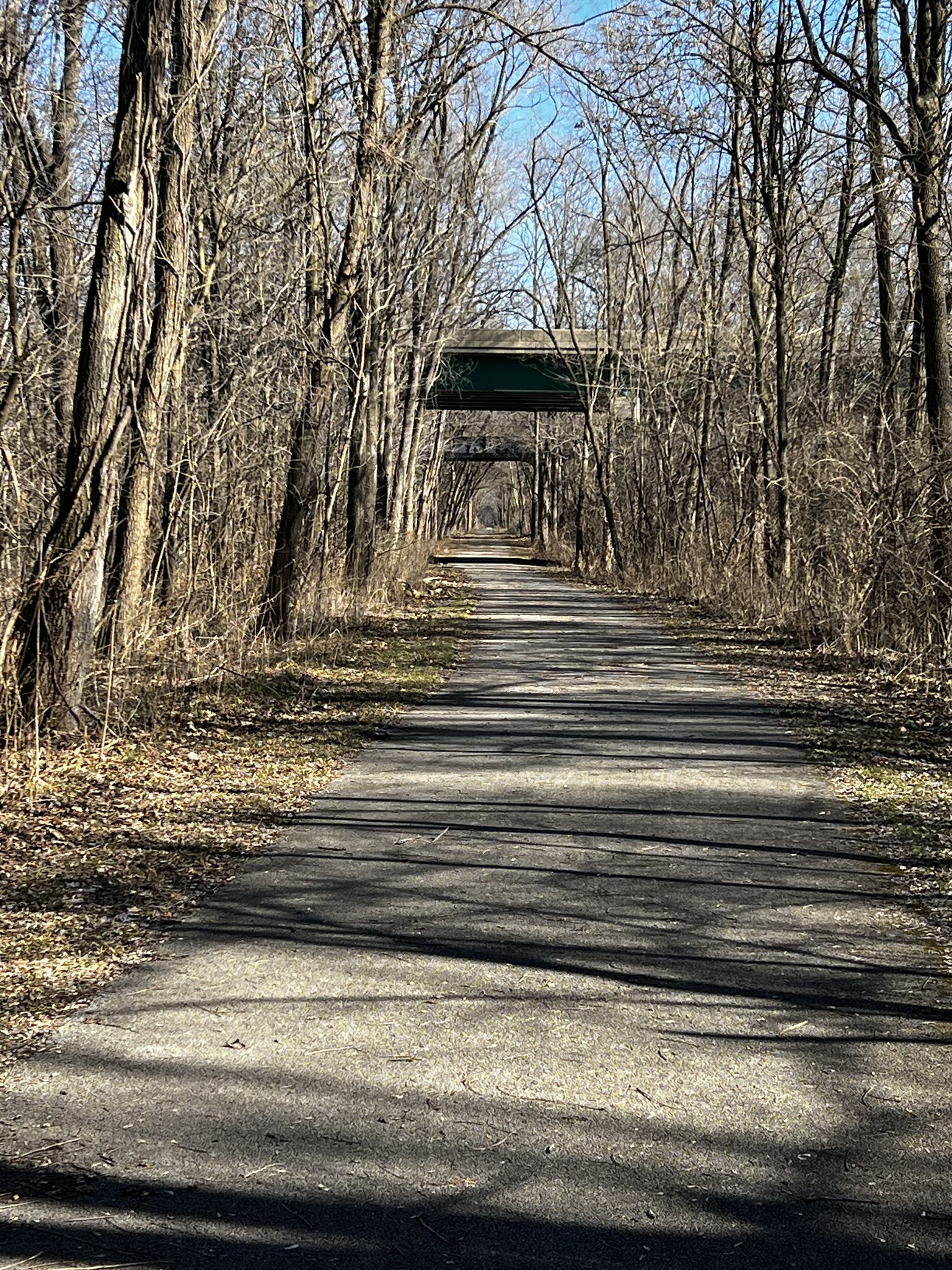 A paved path through bare trees, leading to a bridge overhead. - Old Plank Road Trail