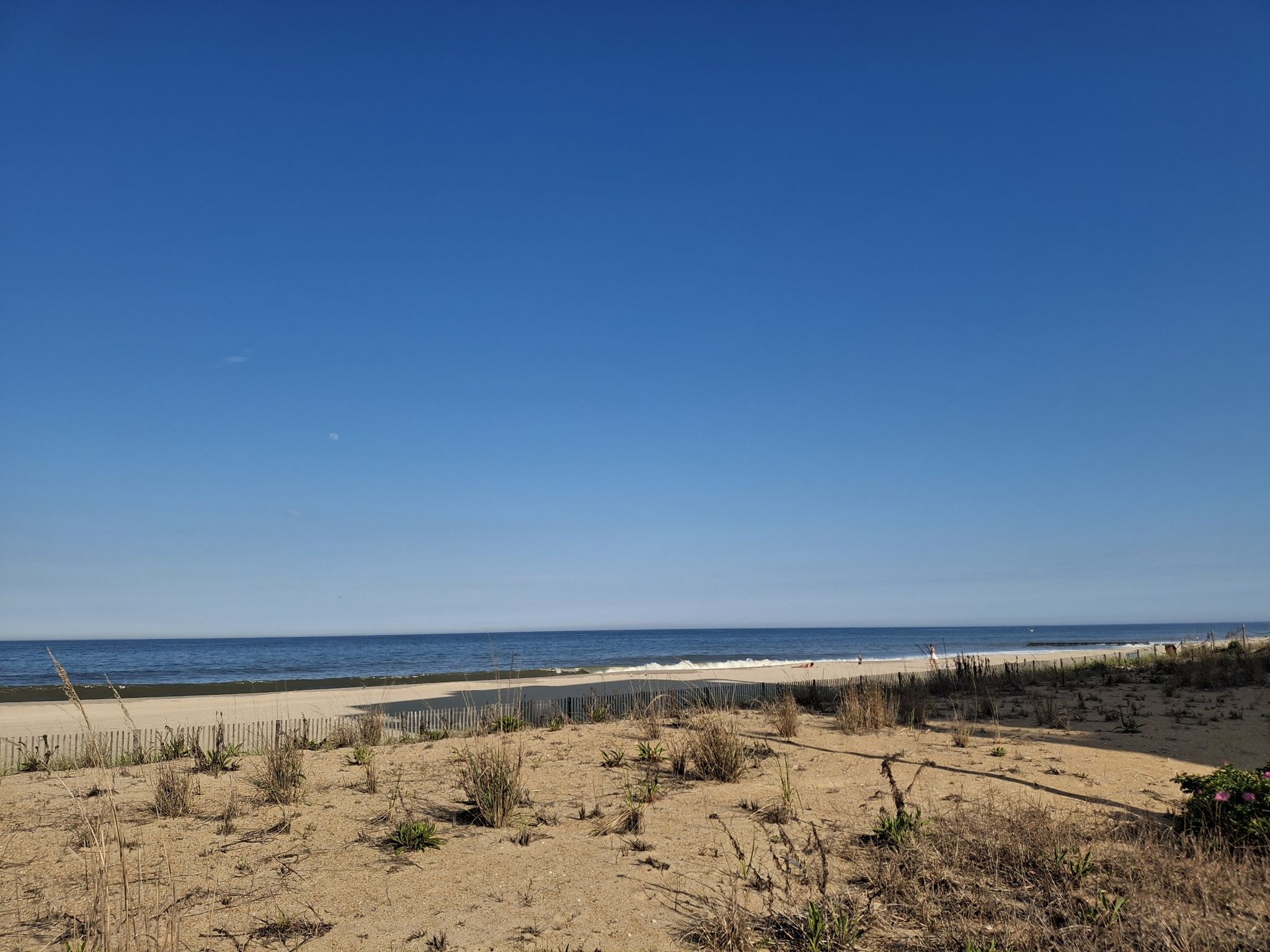 Sunny beach scene with ocean waves, sandy dunes, and clear blue sky. - Rehoboth Beach Boardwalk