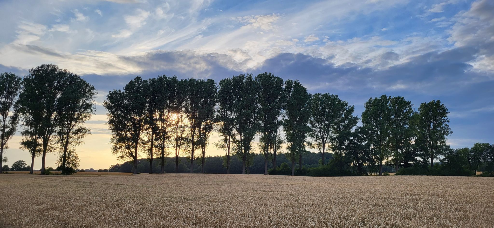 .....Abenddämmerung...🌄 WOW!!