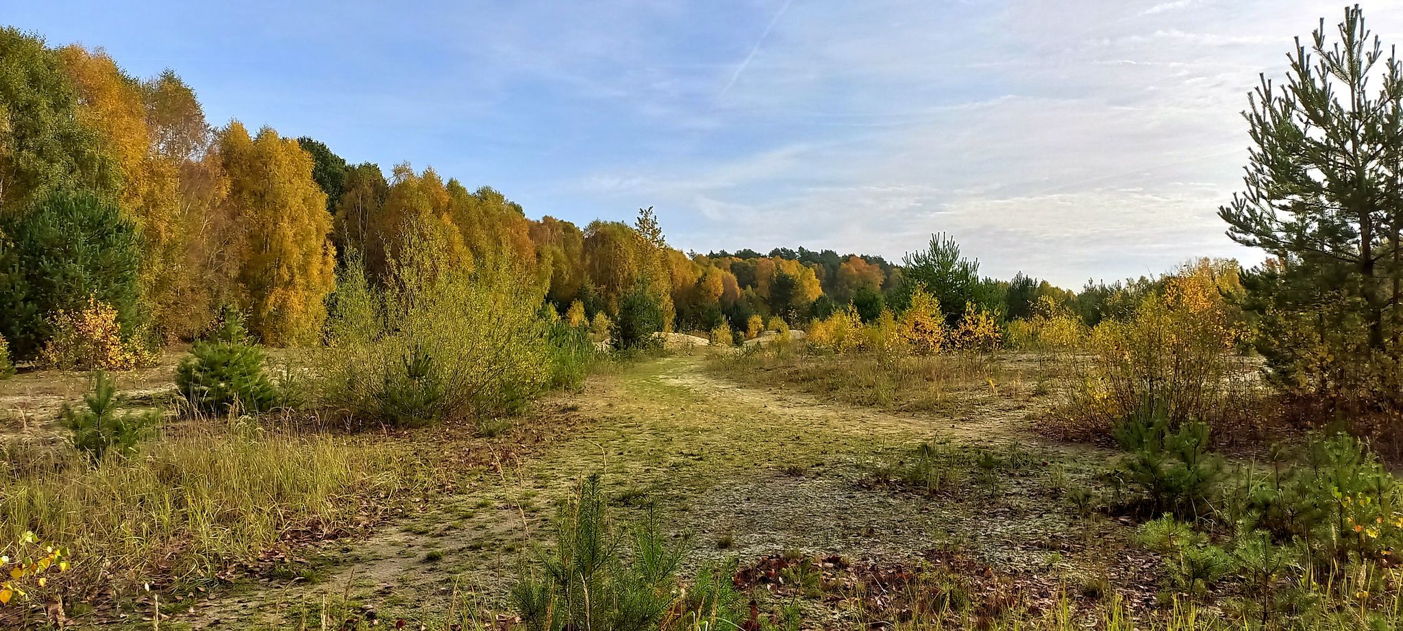 goldener Oktober