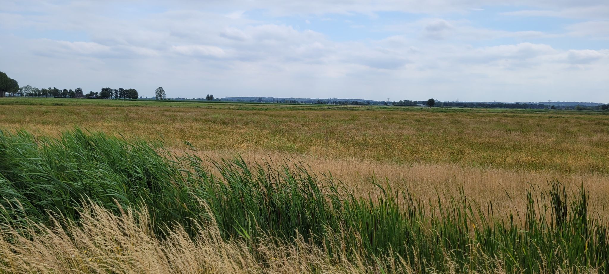 binnenveld