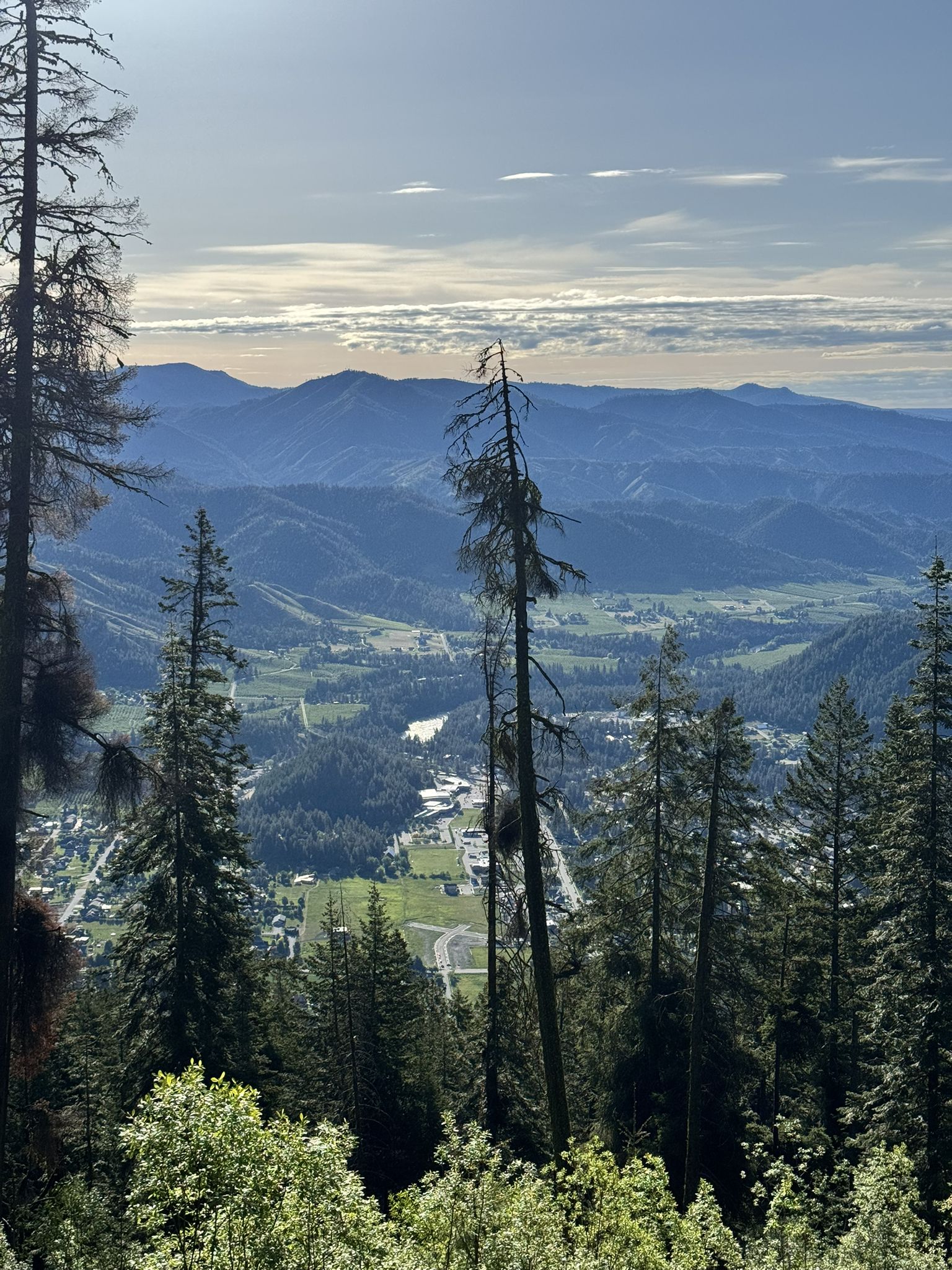 Mountain vista with pine trees overlooking a sunny valley and distant town. - Tumwater Mountain Loop