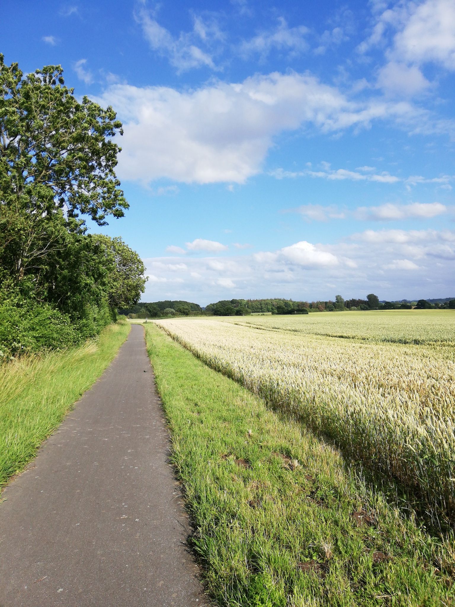 Radweg bei Faulück 
