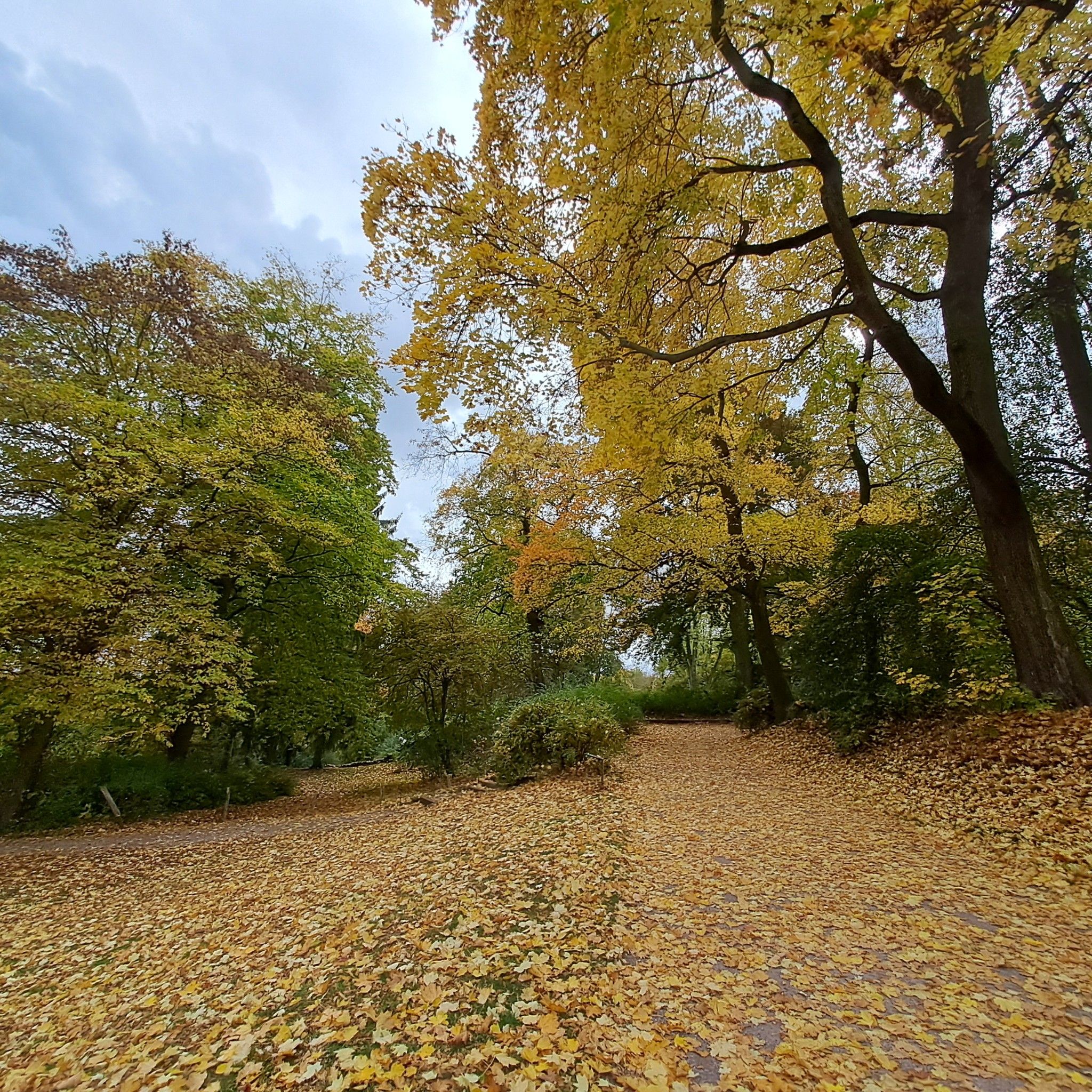 Im Park an der Ilm 🍂🍁