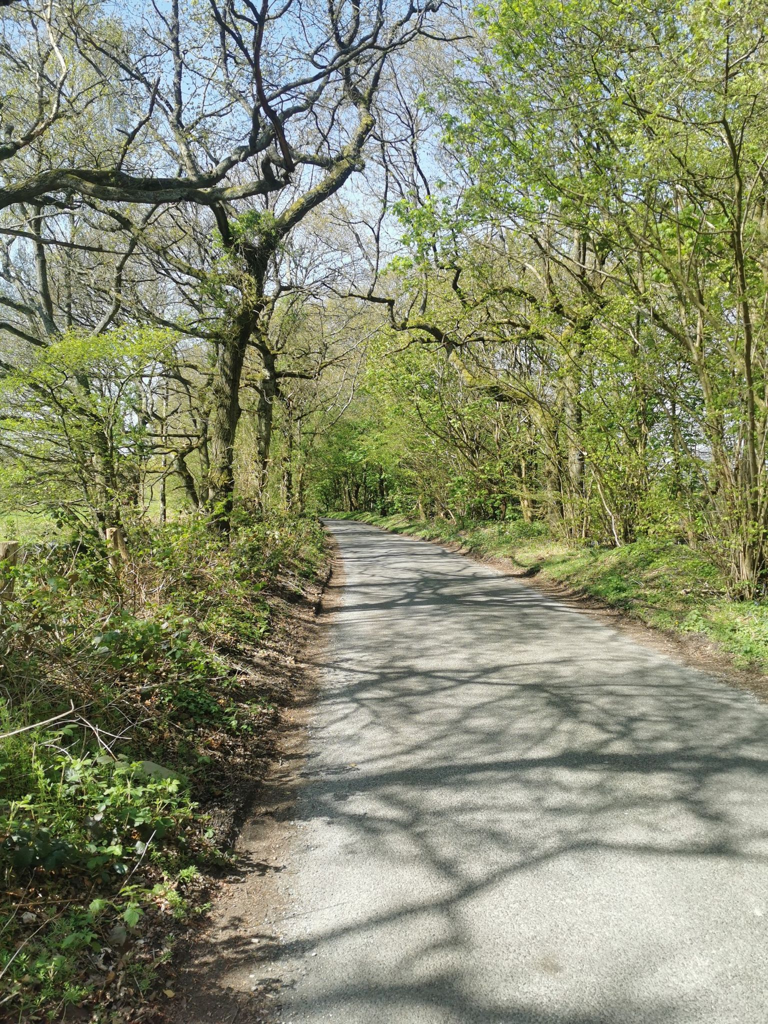 peaceful and quiet road