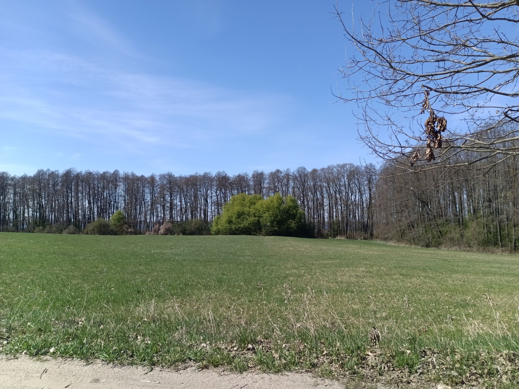 Rast mit Blick auf See