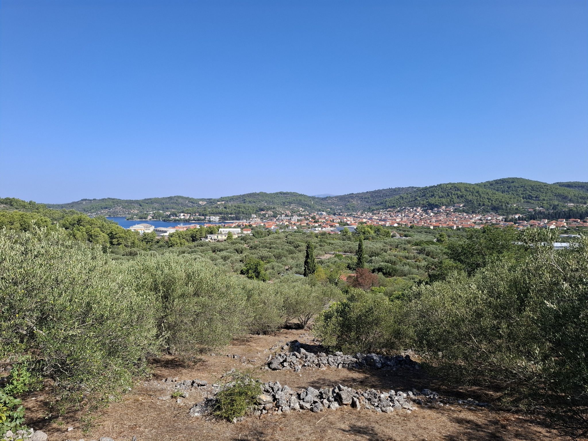 Vela Luka 