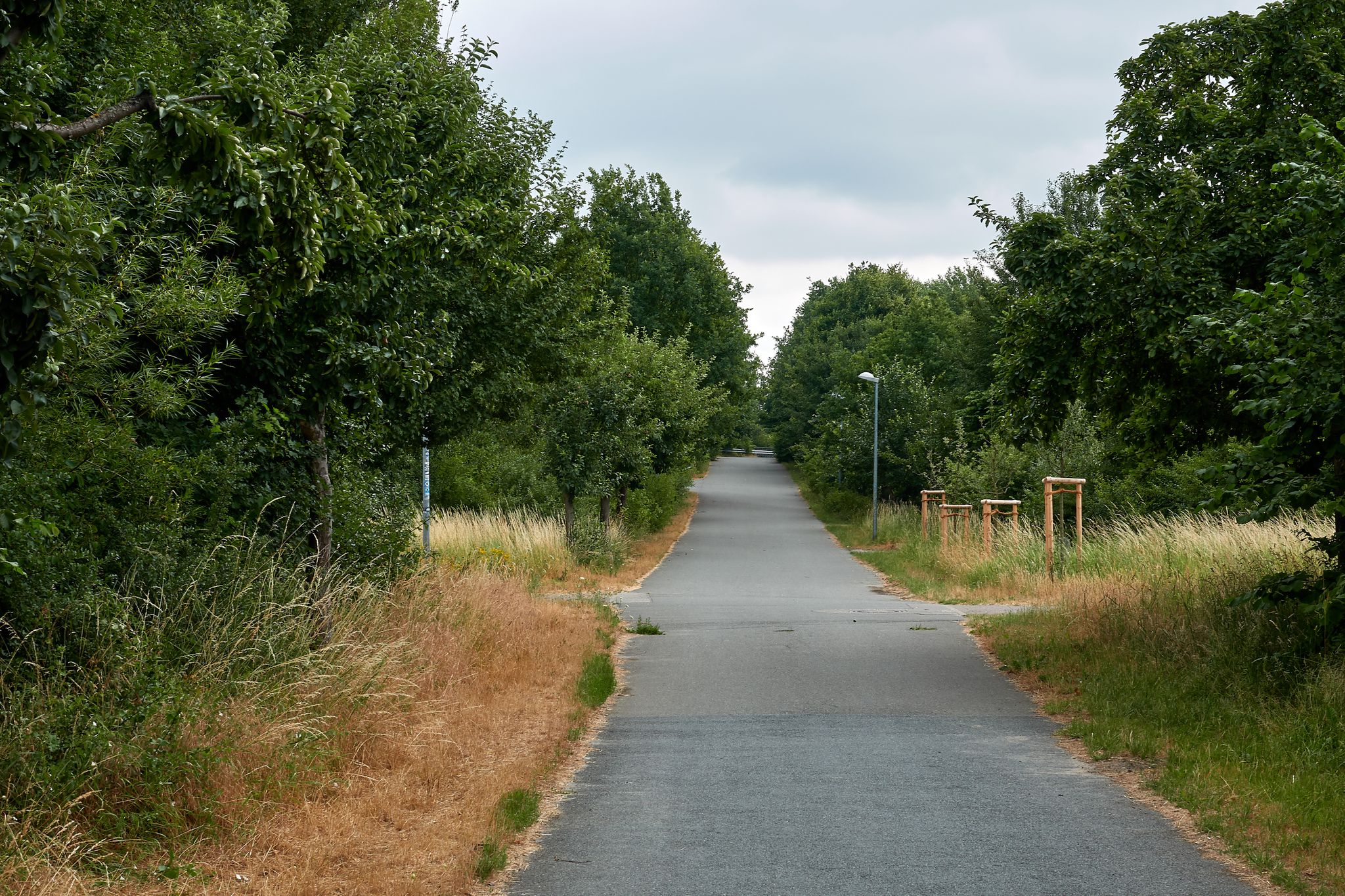 Apfelallee Kaltenmoor