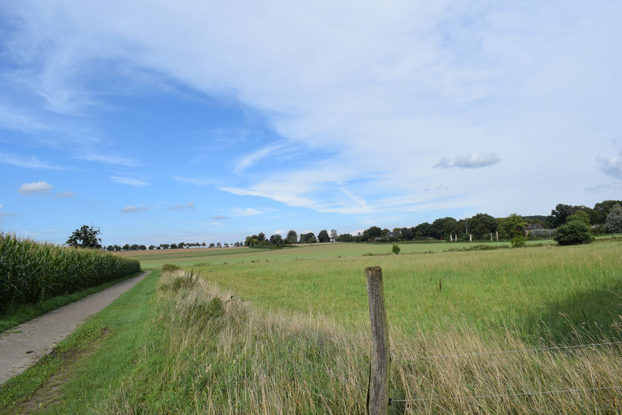 Füllenbruch, Naturschutzgebiet