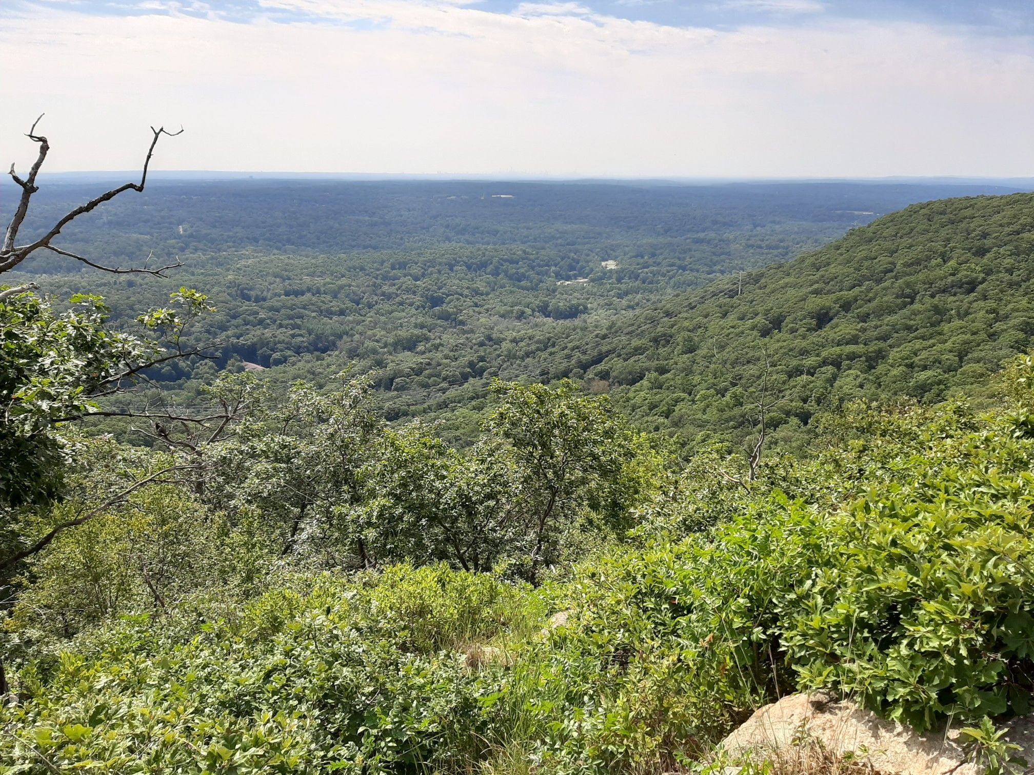 Expansive view of a lush green forested valley under a bright sky. - Panther Mountain and Pine Meadow Lake Loop