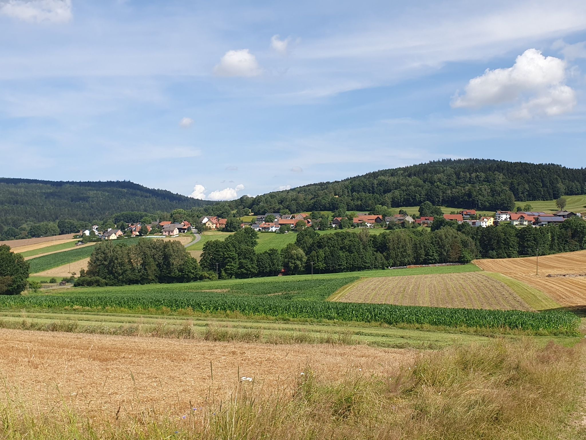 Rückblick Kühried und Wildenstein