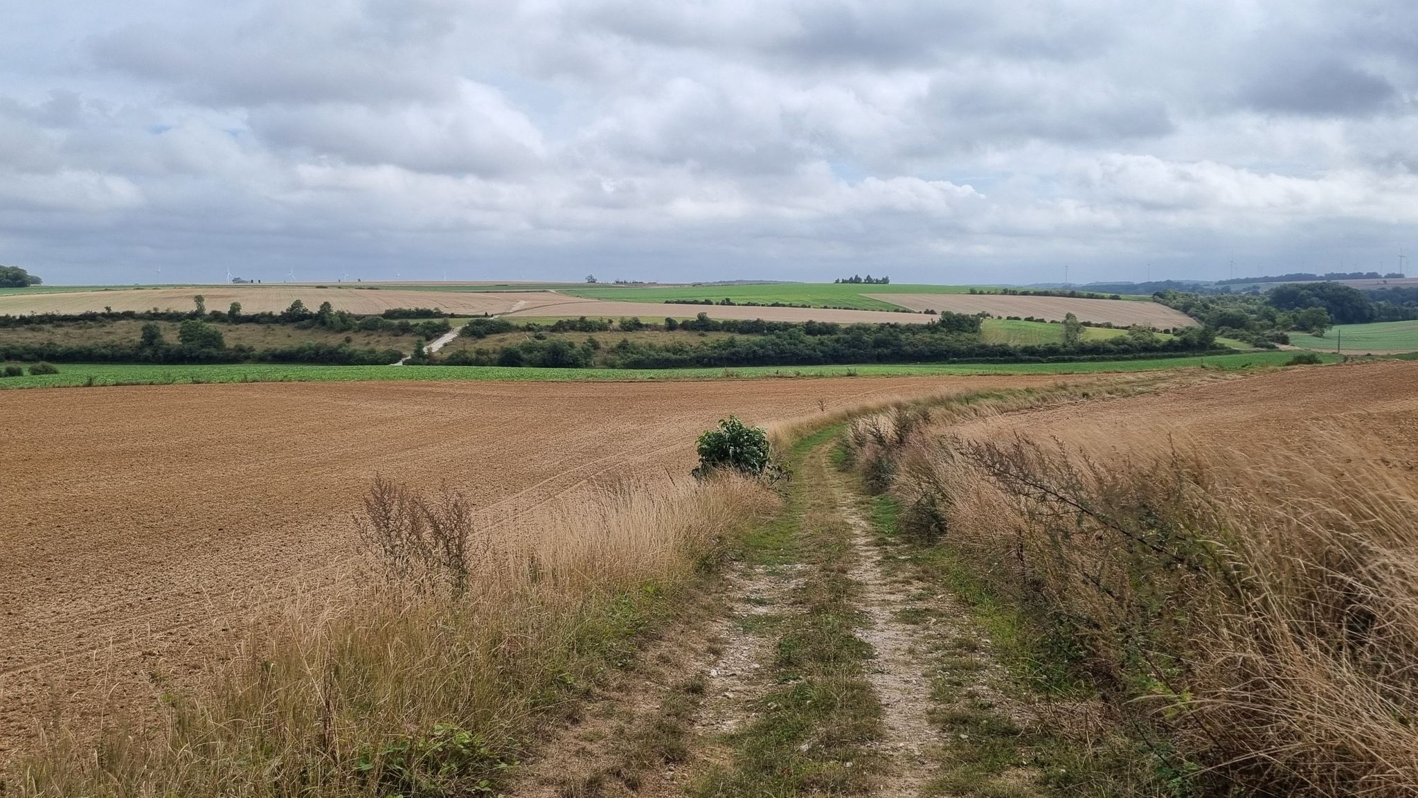 Portion de chemin bien agréable / Very pleasant section of path
