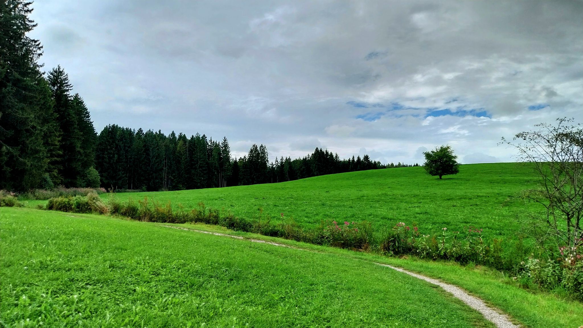 Hinter der Feriensiedlung Via Claudia