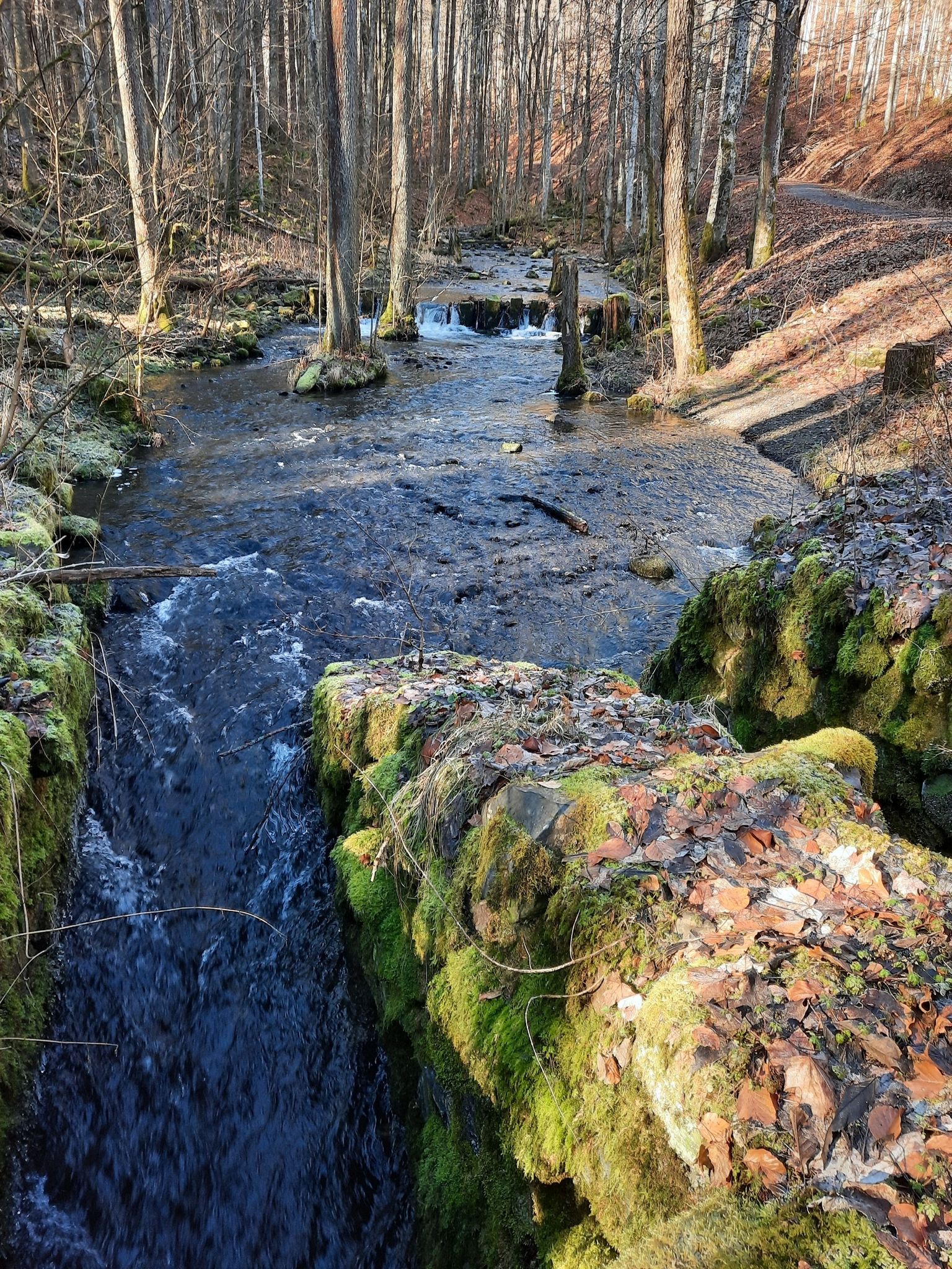 Basaltblockstufen - wer das wohl gebaut hat