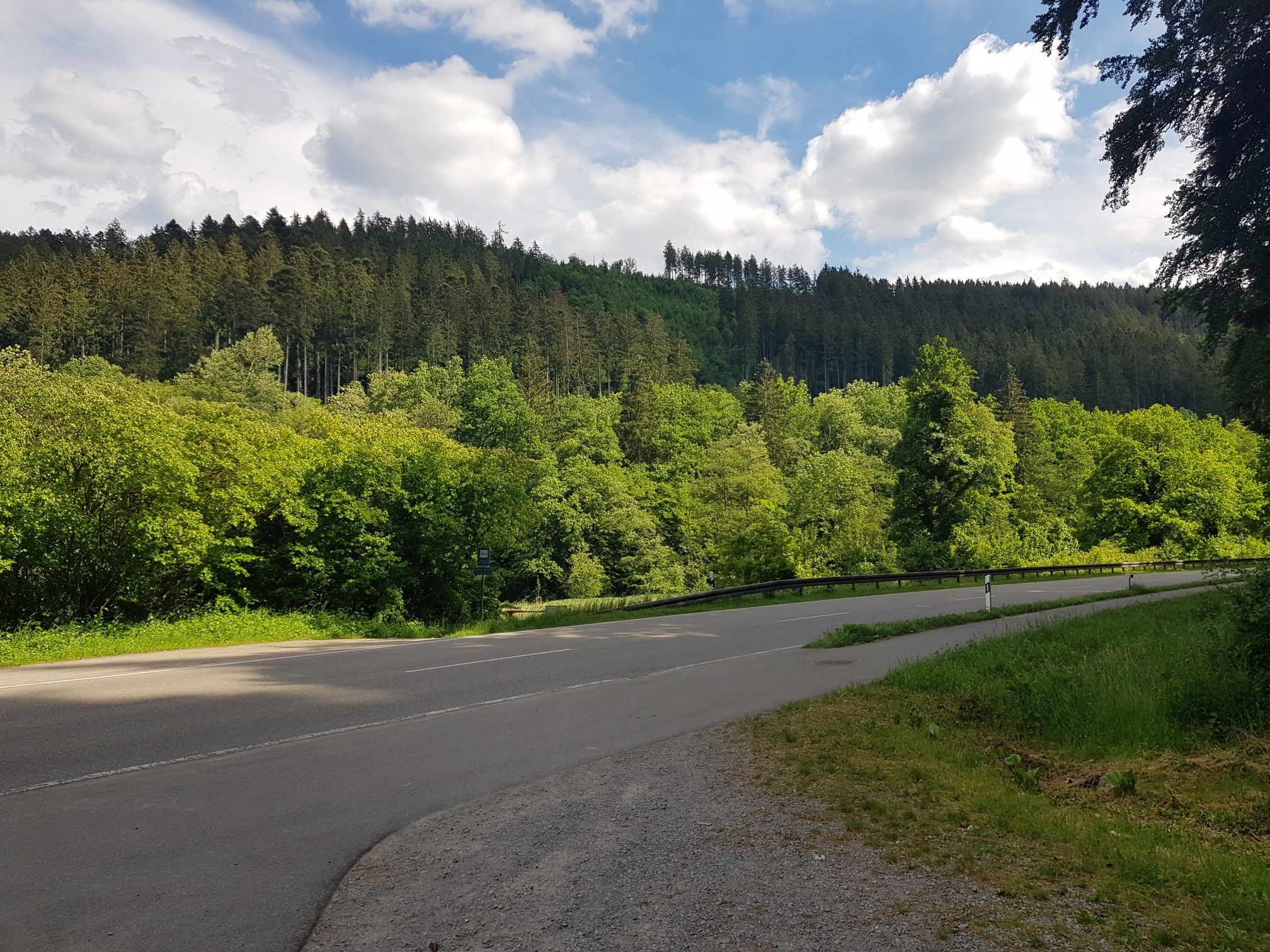 pleasant scenary