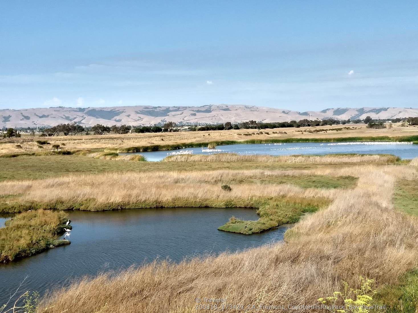 Wetlands with water channels winding through expansive dry golden grass and mountains. - Quail, Red Hill, and Bayview Loop