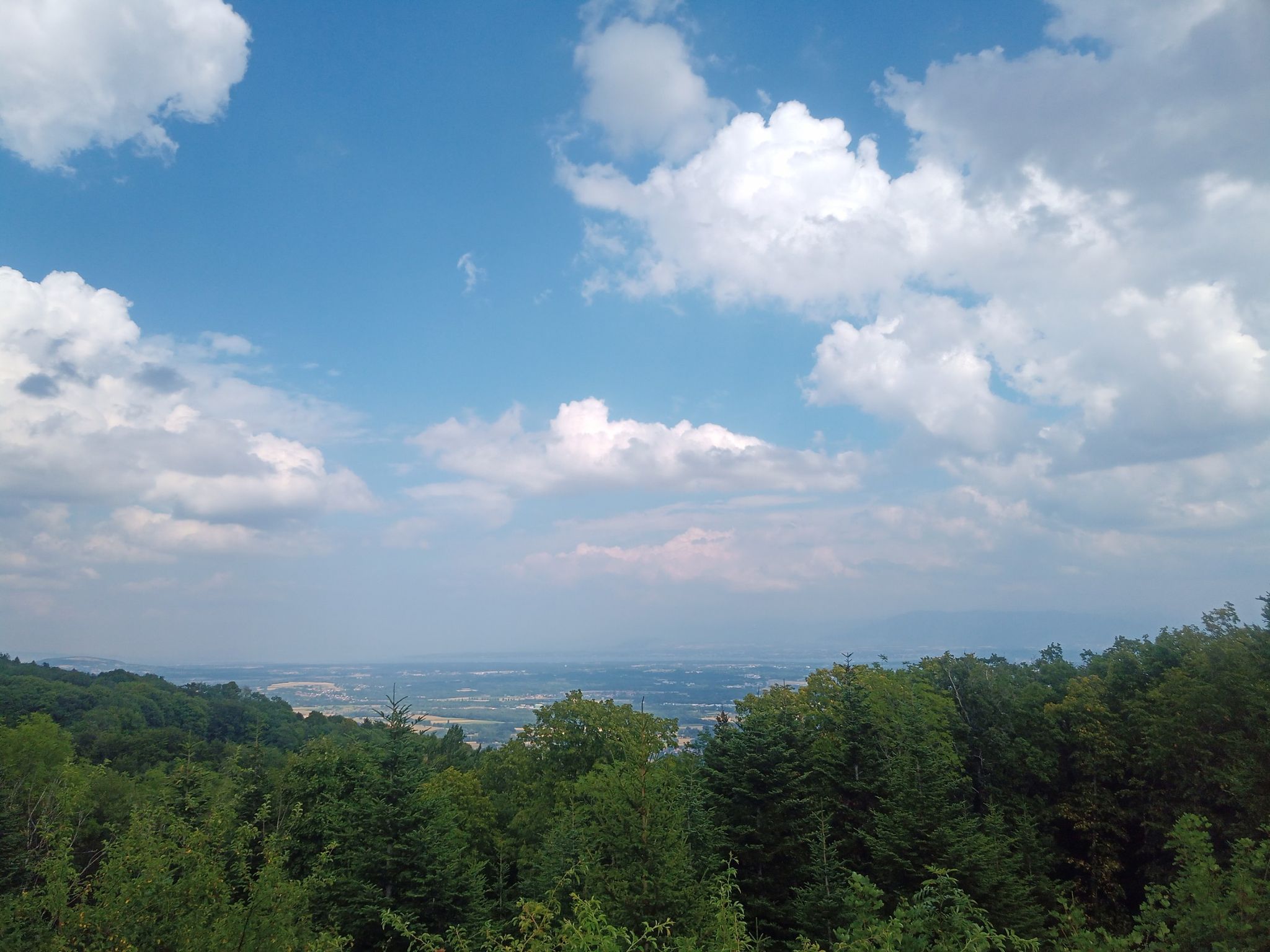 sightview