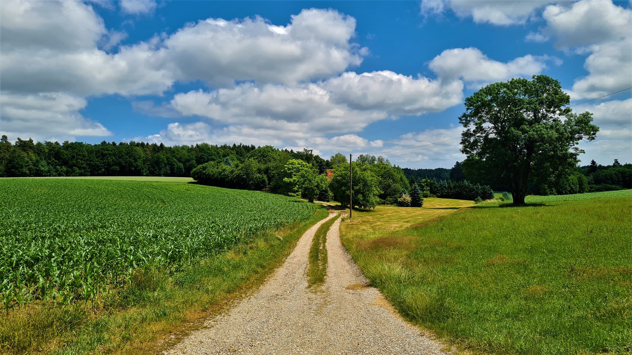 Weg zum Höllerthal