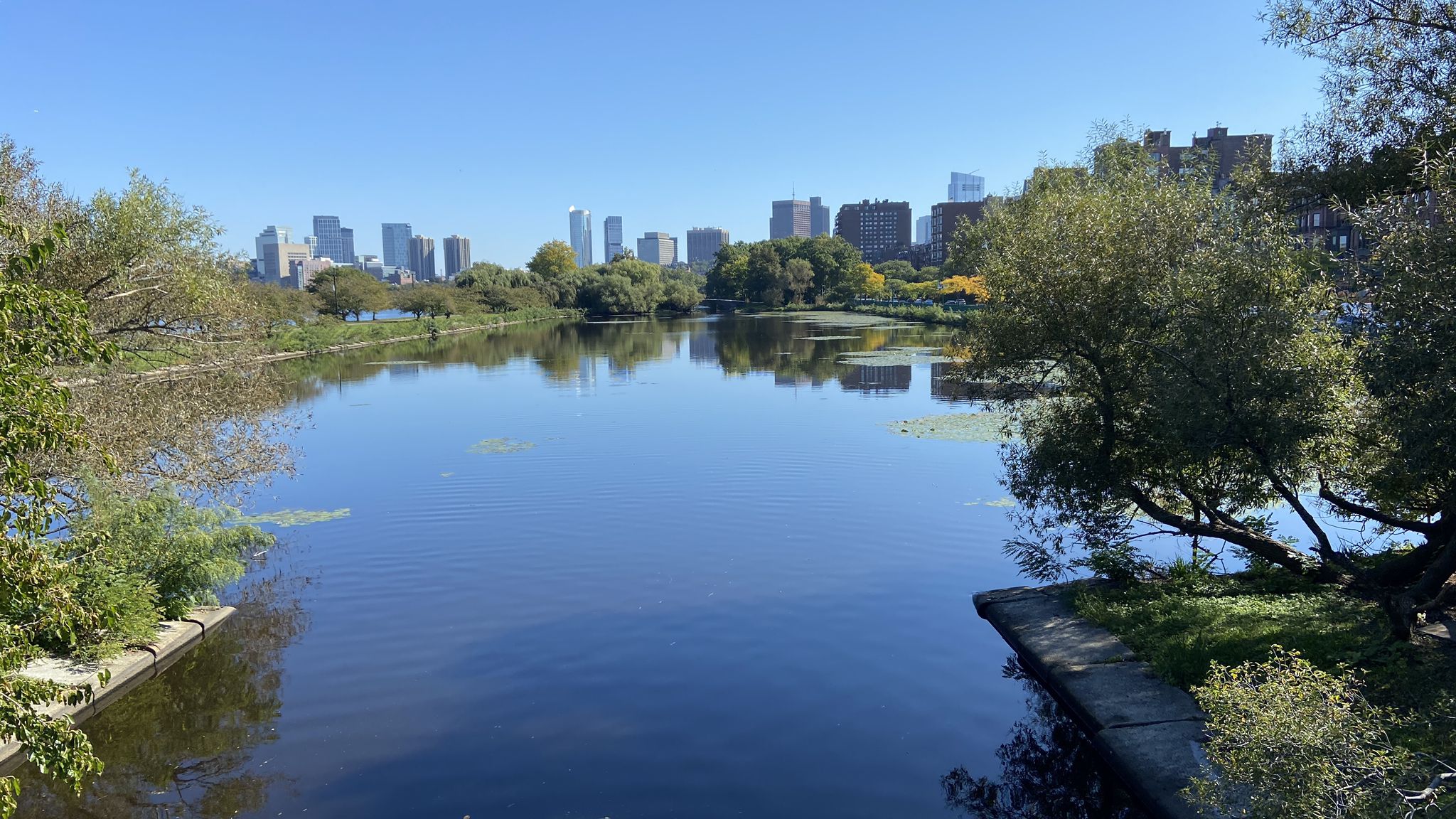 A calm river reflects a distant city skyline, surrounded by green trees under a clear blue sky. - Massachusetts State House – Storrow Lagoon loop from South Station