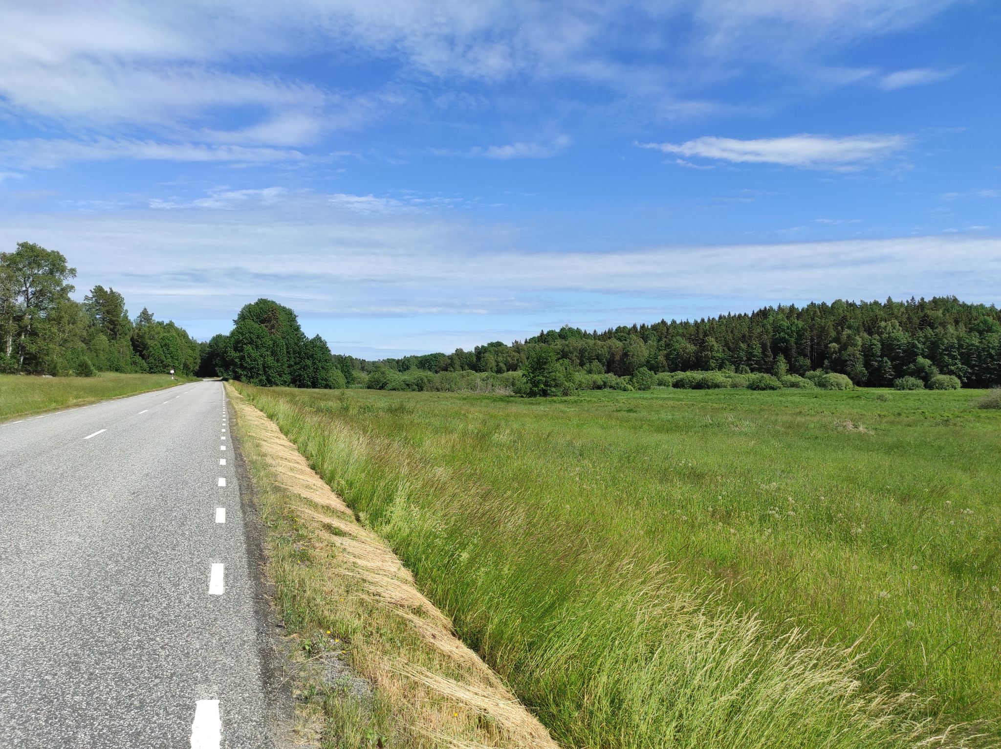 Lots of lovely country roads out here!