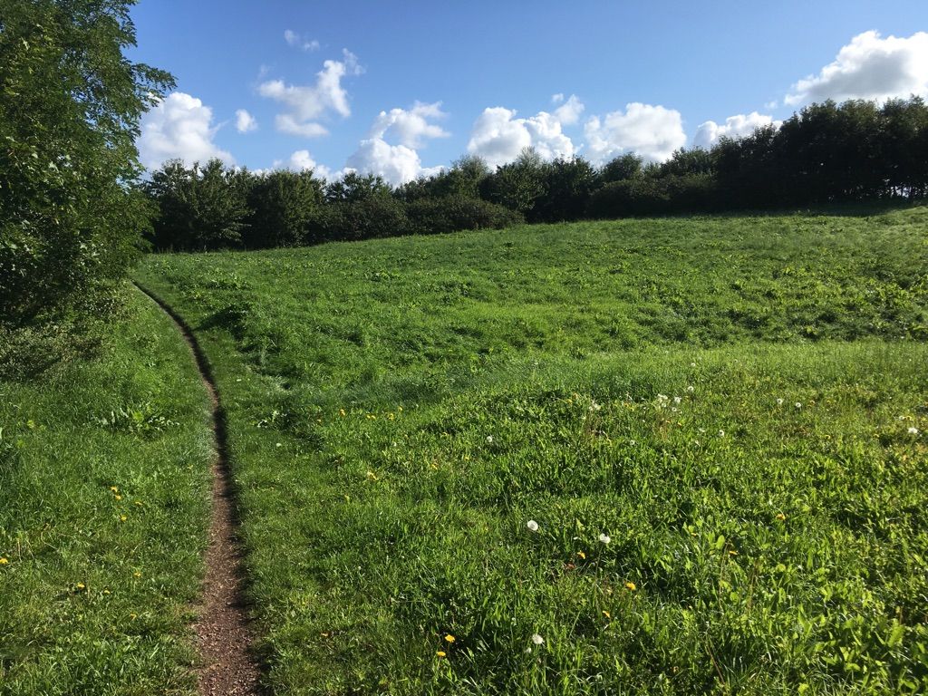 Cycle through meadows