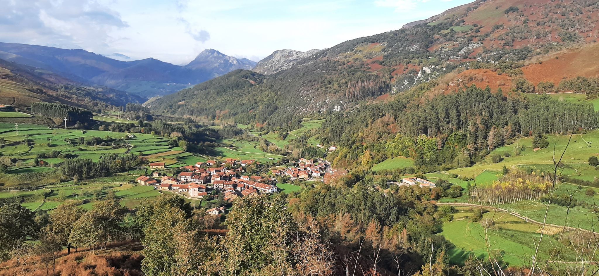 Carmona desde la Asomada