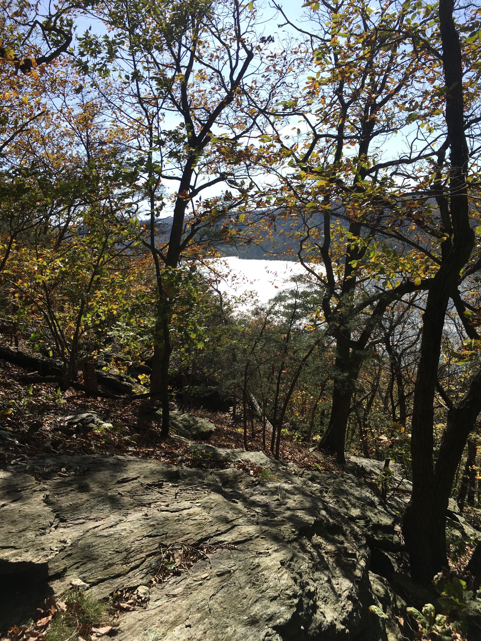 A rocky overlook through trees to a bright, reflective body of water. - Pinnacle Overlook Loop