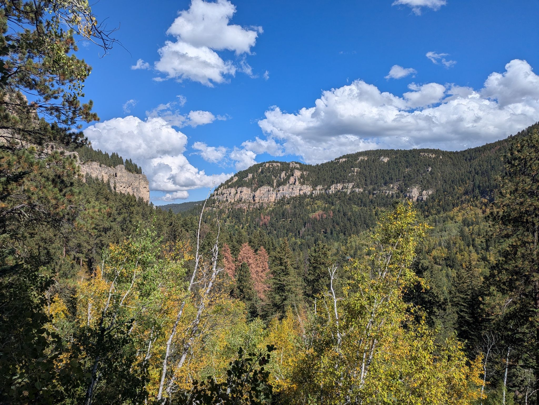 A scenic view of forested mountains and rocky cliffs under a blue sky. - Savoy-Waterfalls Trail