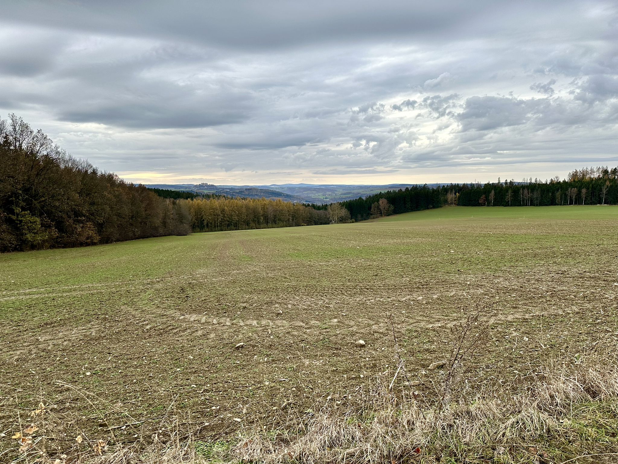 🥾 Hausdorfer Höhe