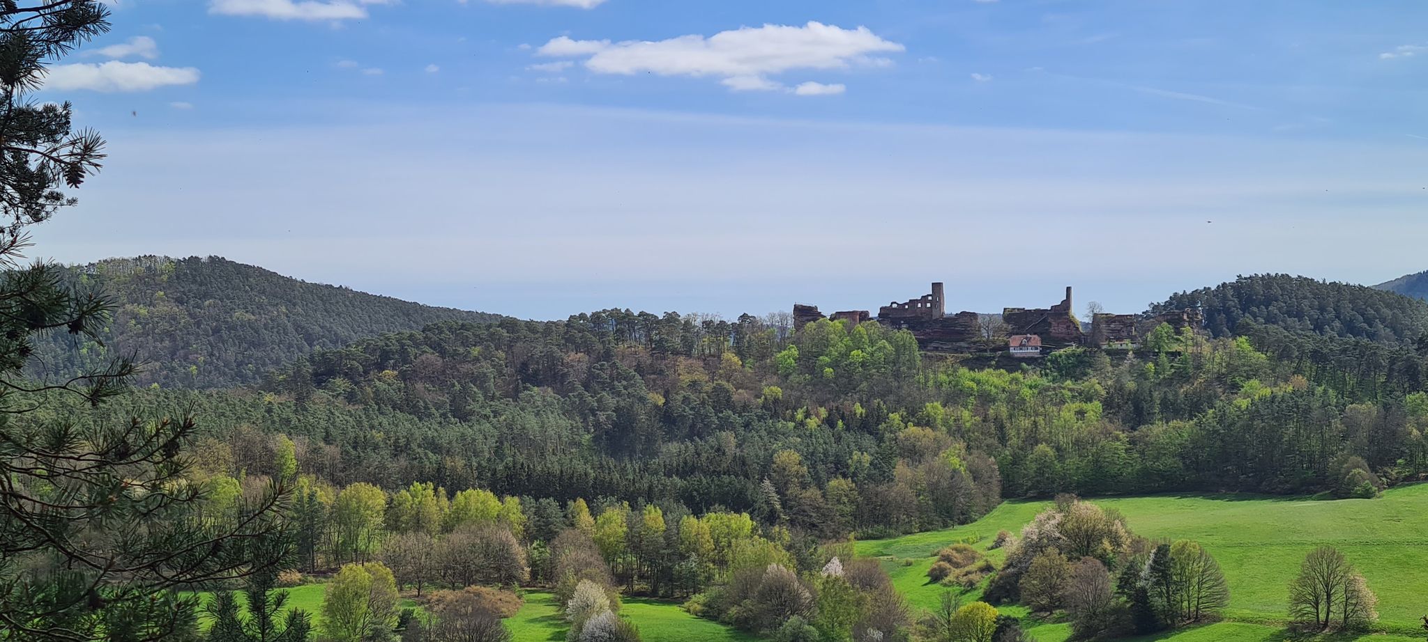 Die Burgruine Altdahn im Sonnenschein