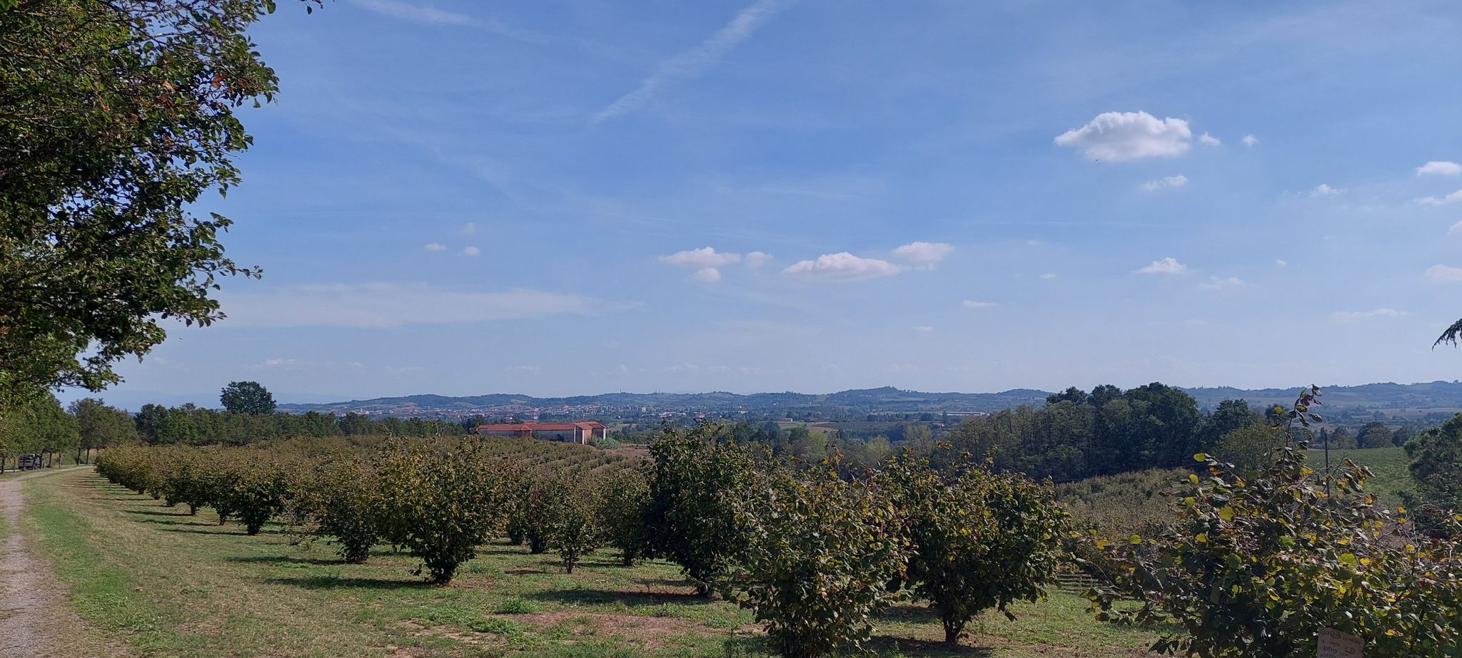 panorama