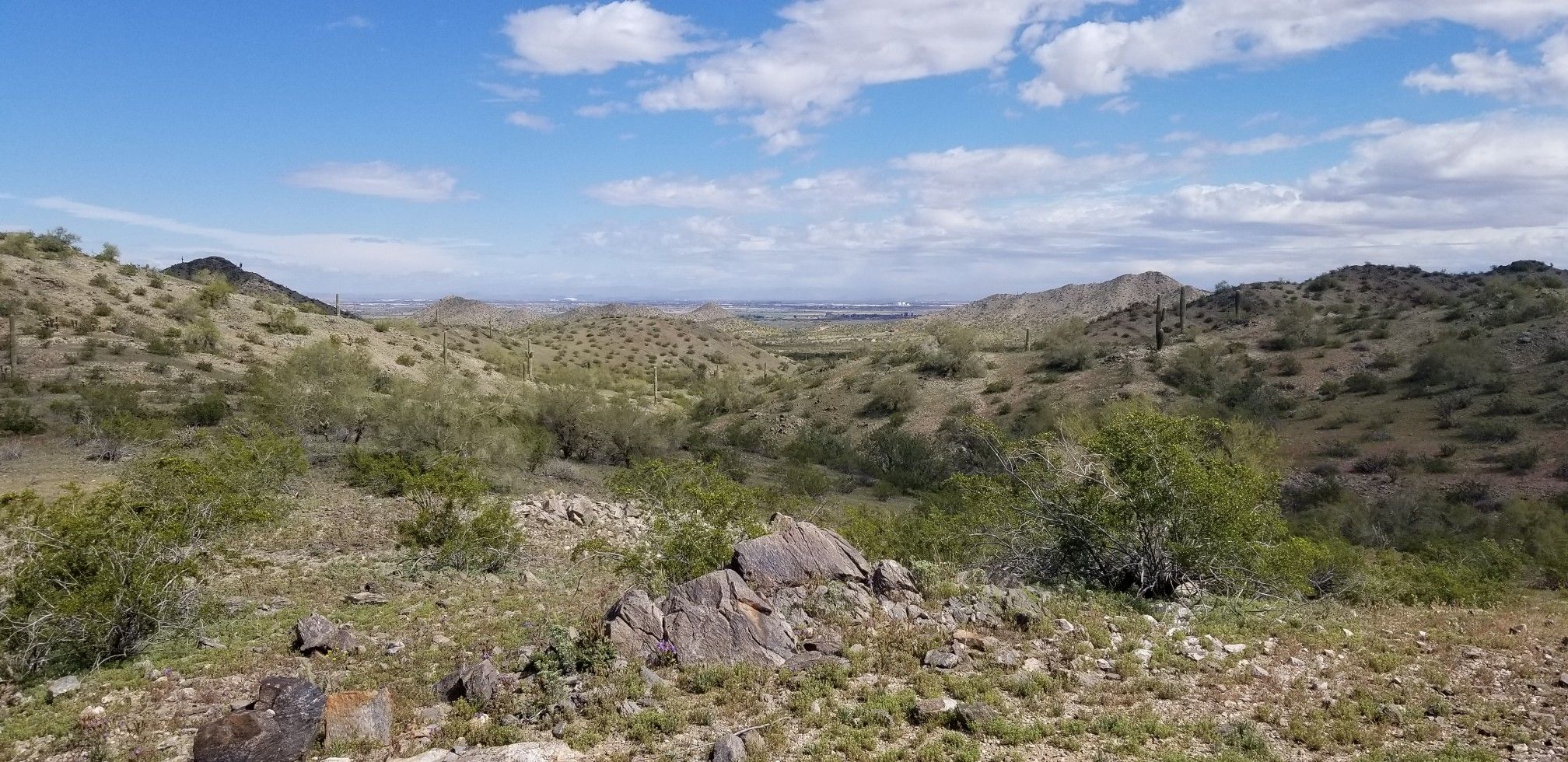 Wide desert vista with rocky foreground, green hills, and a distant valley. - Estrella Mountain Competitive Track Loop