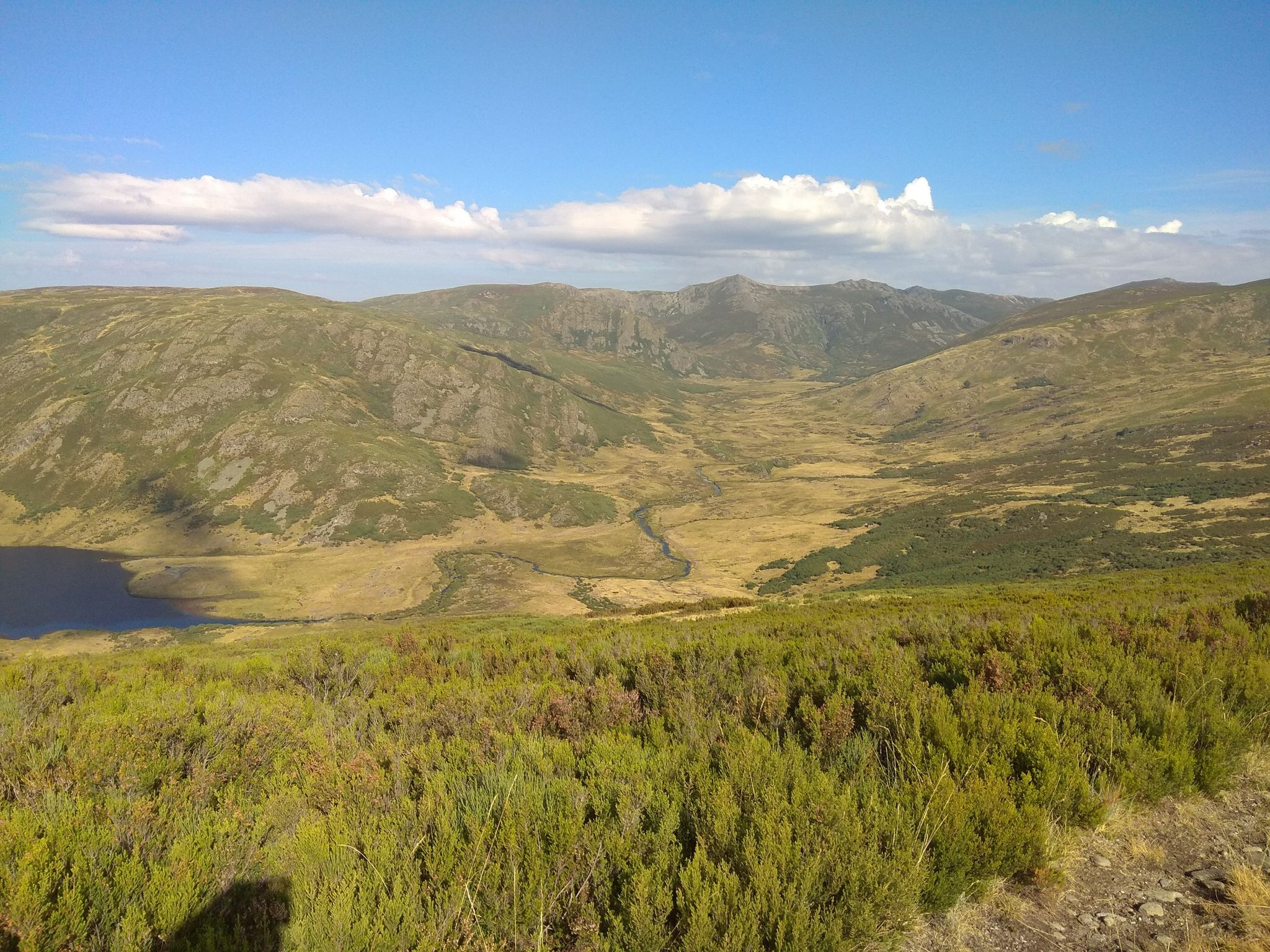 AL FONDO PEÑA TREVINCA