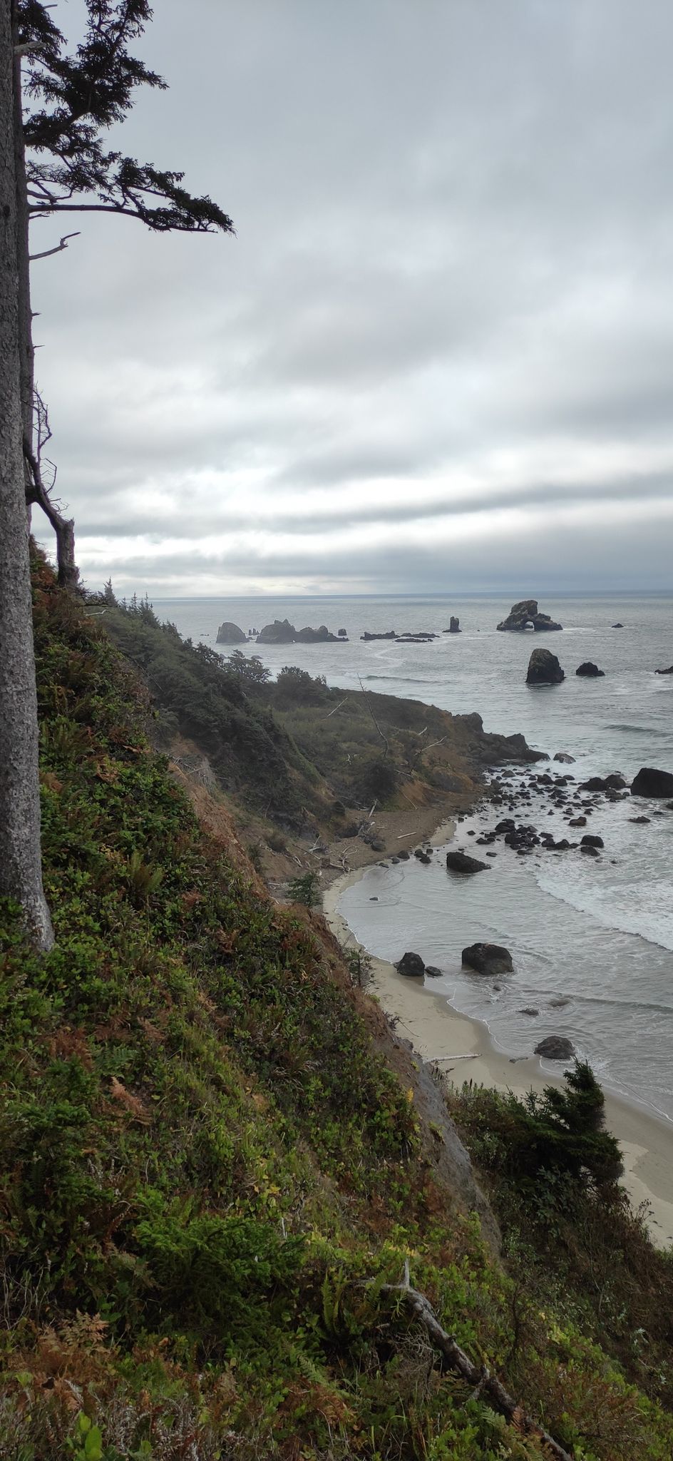 Coastal cliff with trees overlooking a sandy beach and rocky ocean. - Indian Beach Trail – Indian Beach loop from Ecola State Park