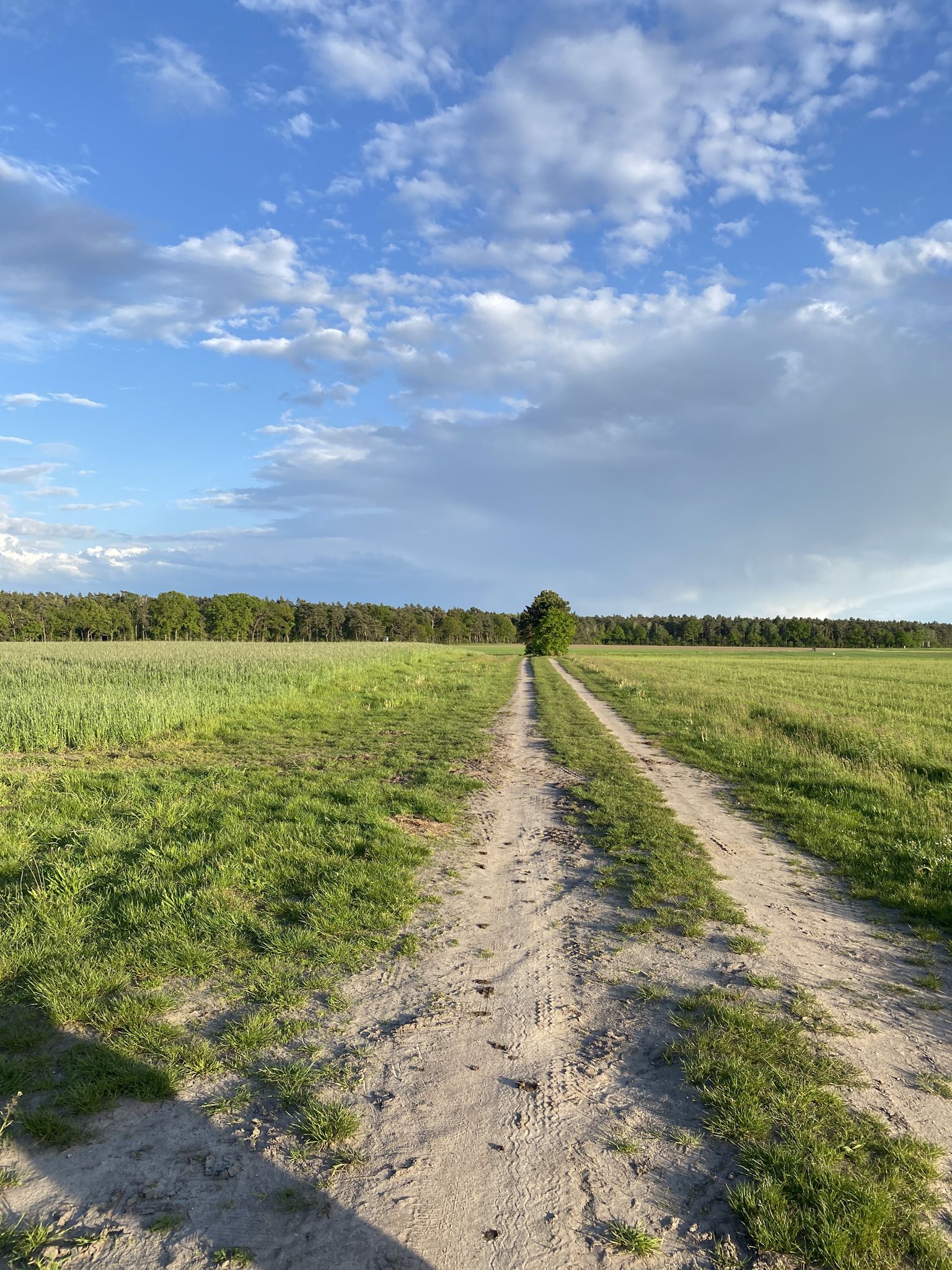 Nebenweg 