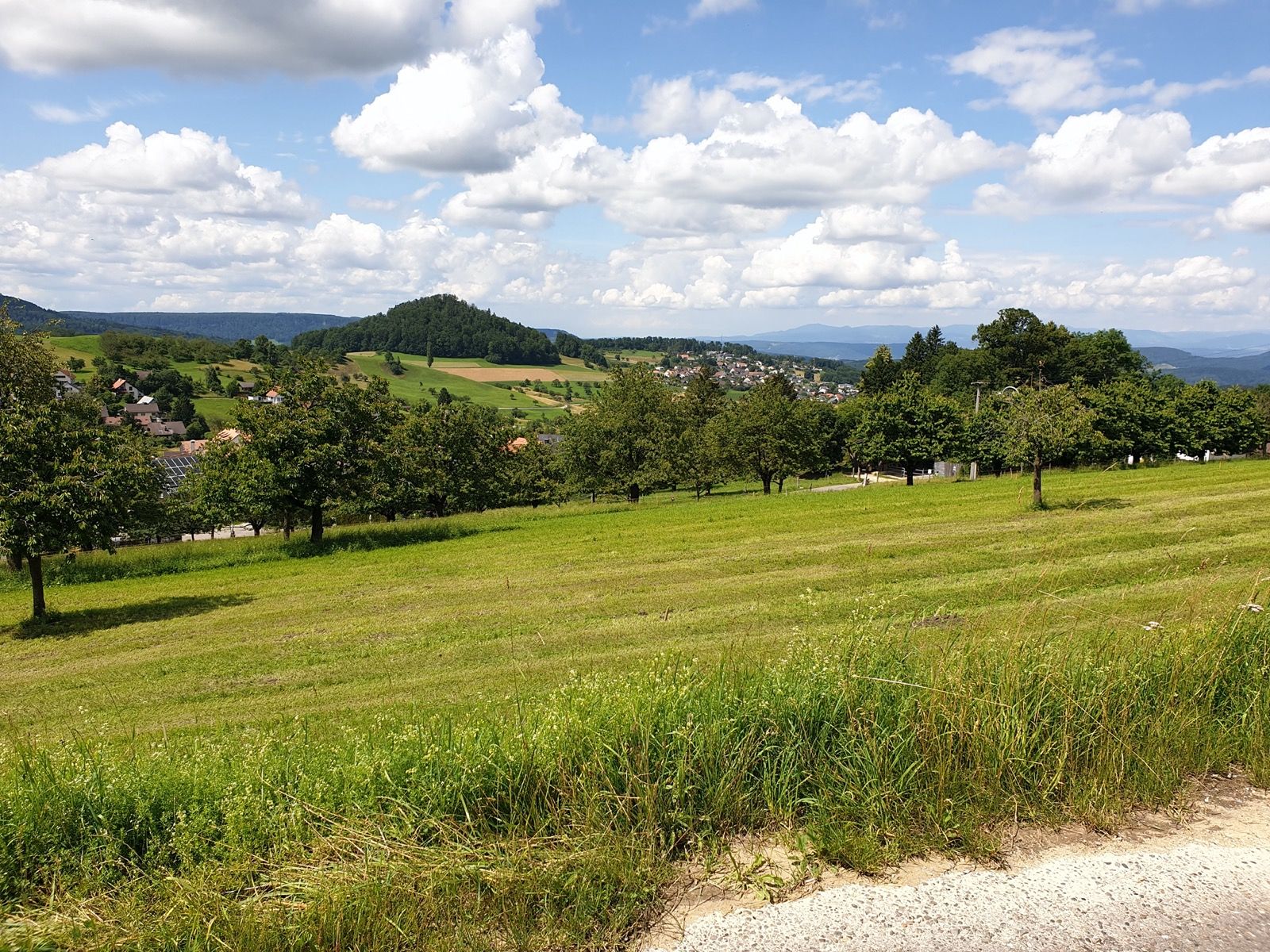 Blick Richtung Arboldswil Schwarzwald