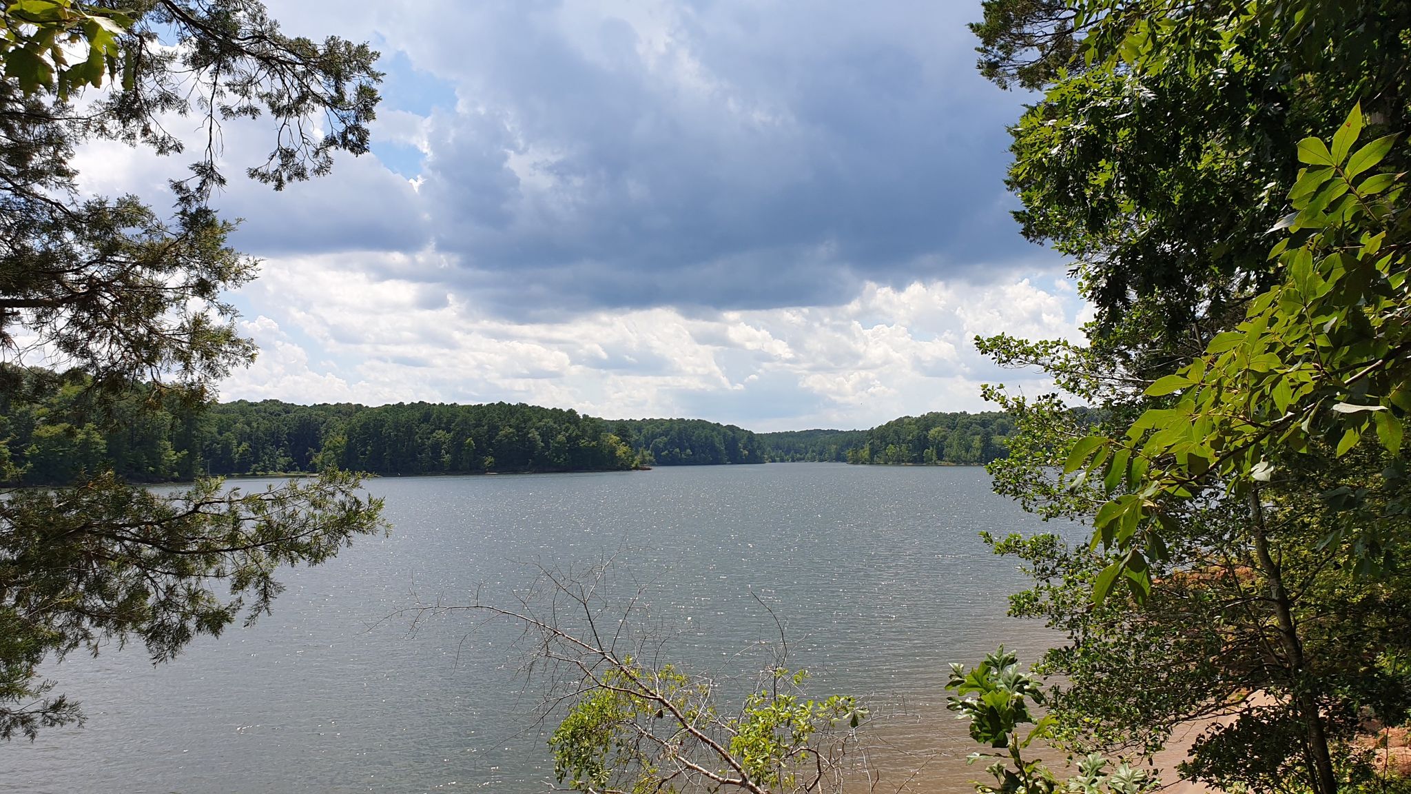 A large lake framed by green trees under a cloudy sky. - Peninsula Trail Loop