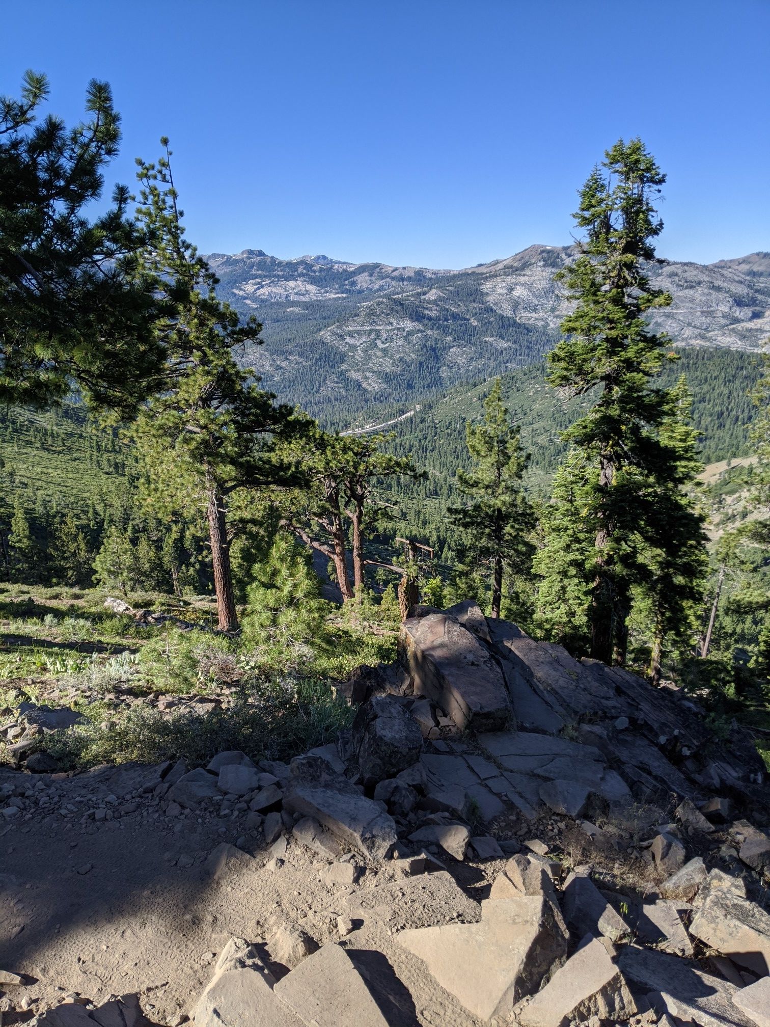 Rocky foreground with pine trees overlooking a vast forested mountain landscape. - Johnson Canyon Overlook via Glacier Way Trailhead