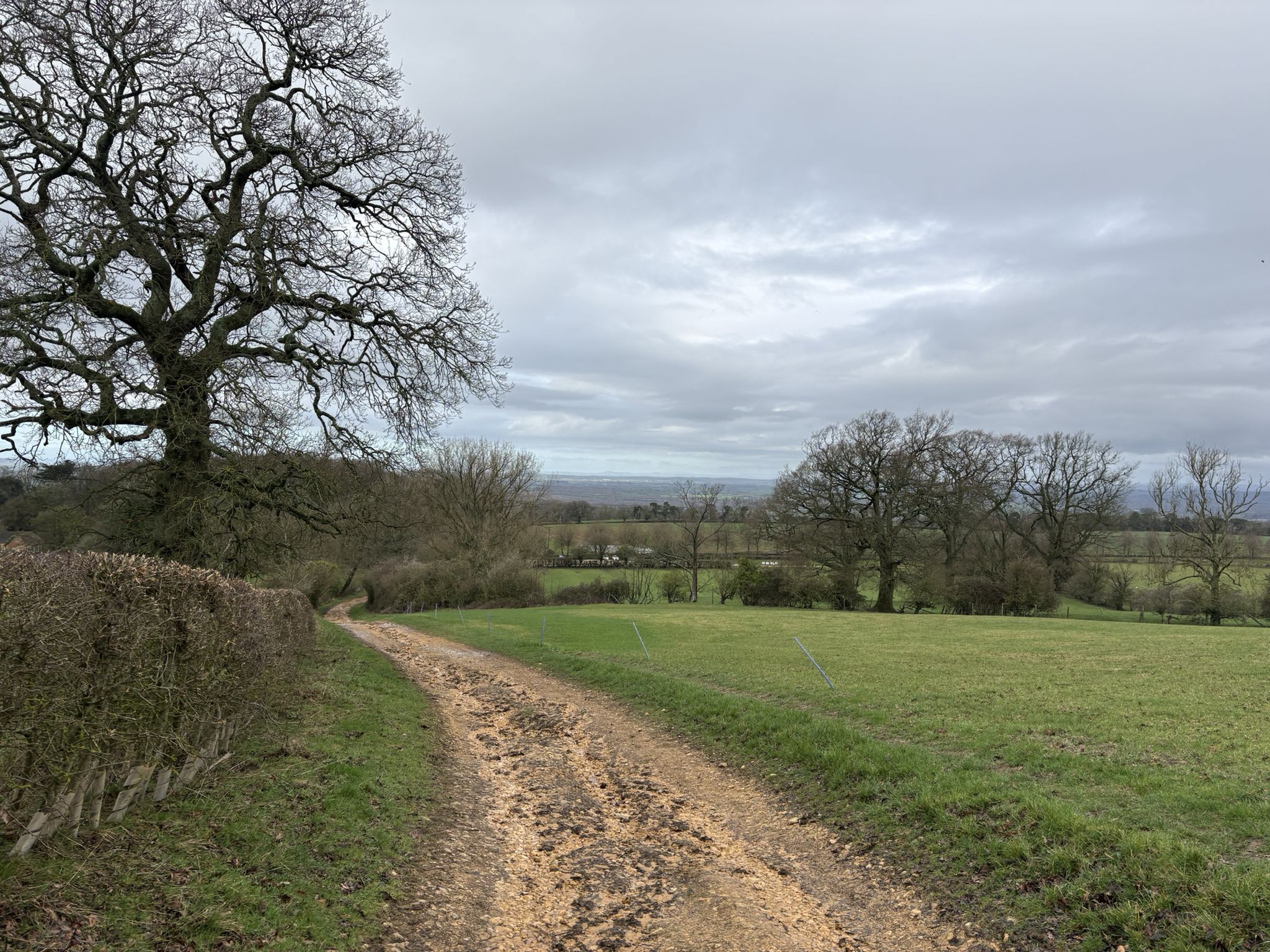 Bridleway from Hidcote