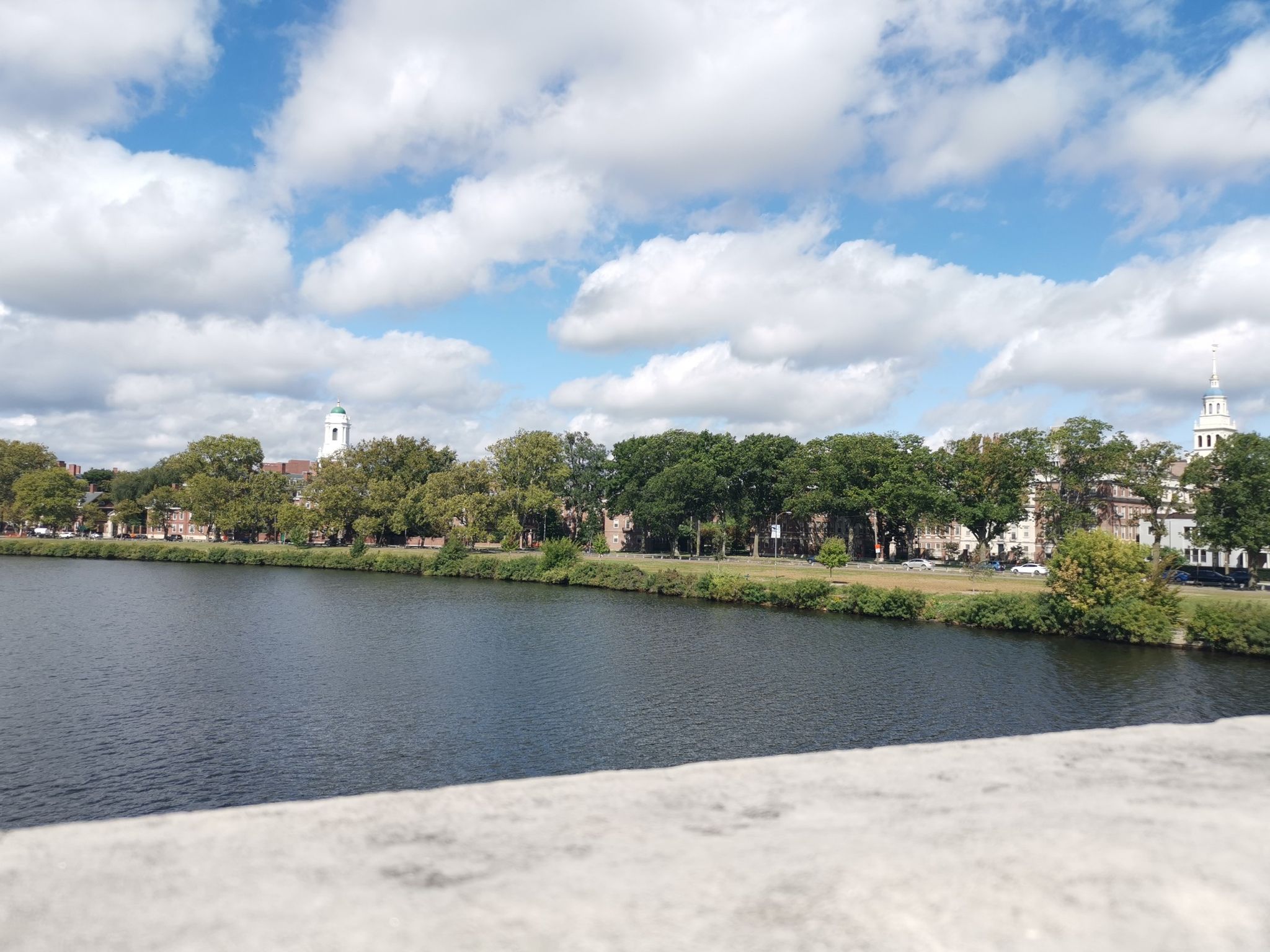 A wide river with distant buildings and green trees under a partly cloudy sky. - Fresh Pond Bikeway – John W. Weeks Footbridge loop from Central