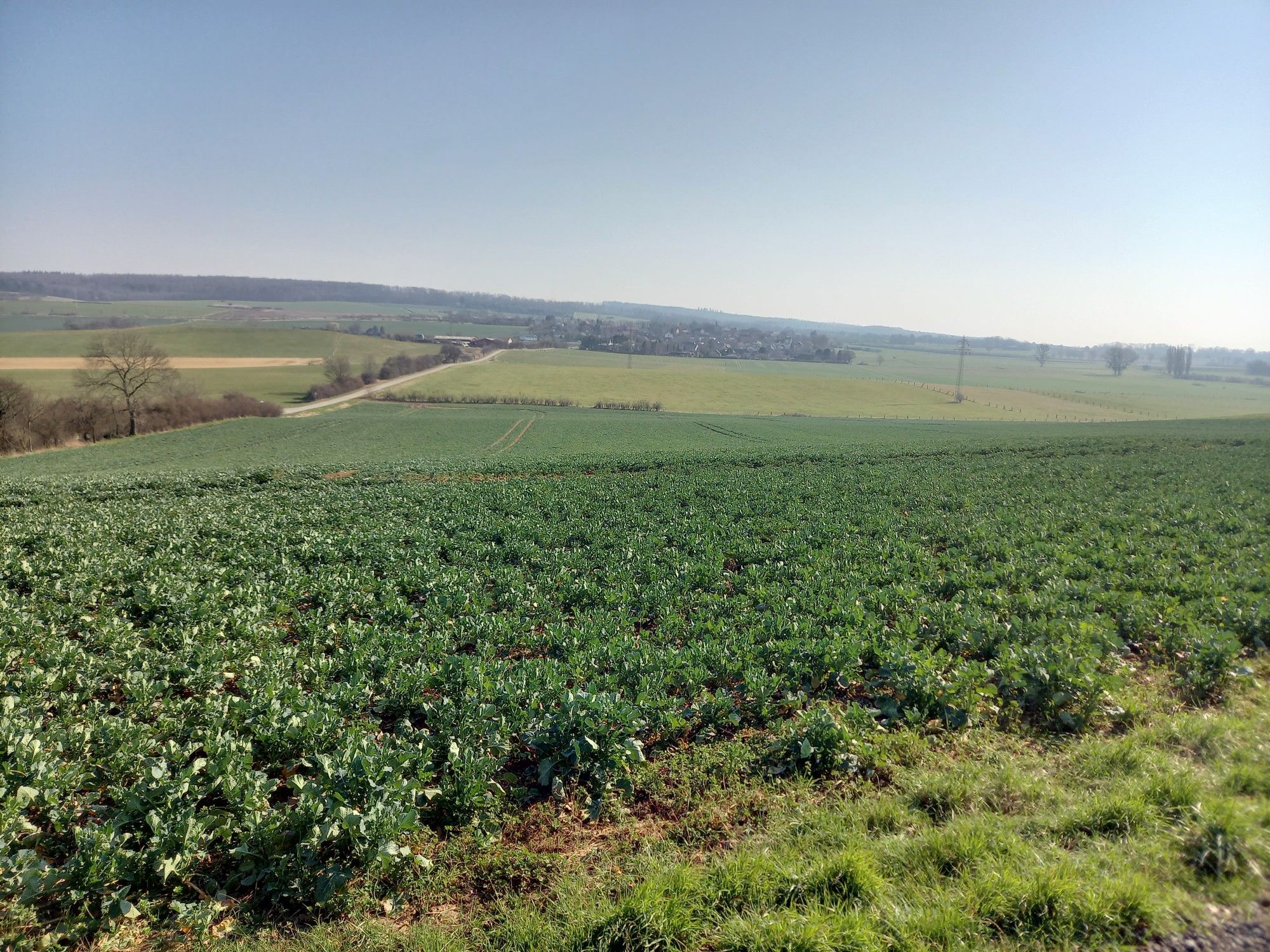 Blick Richtung Süden