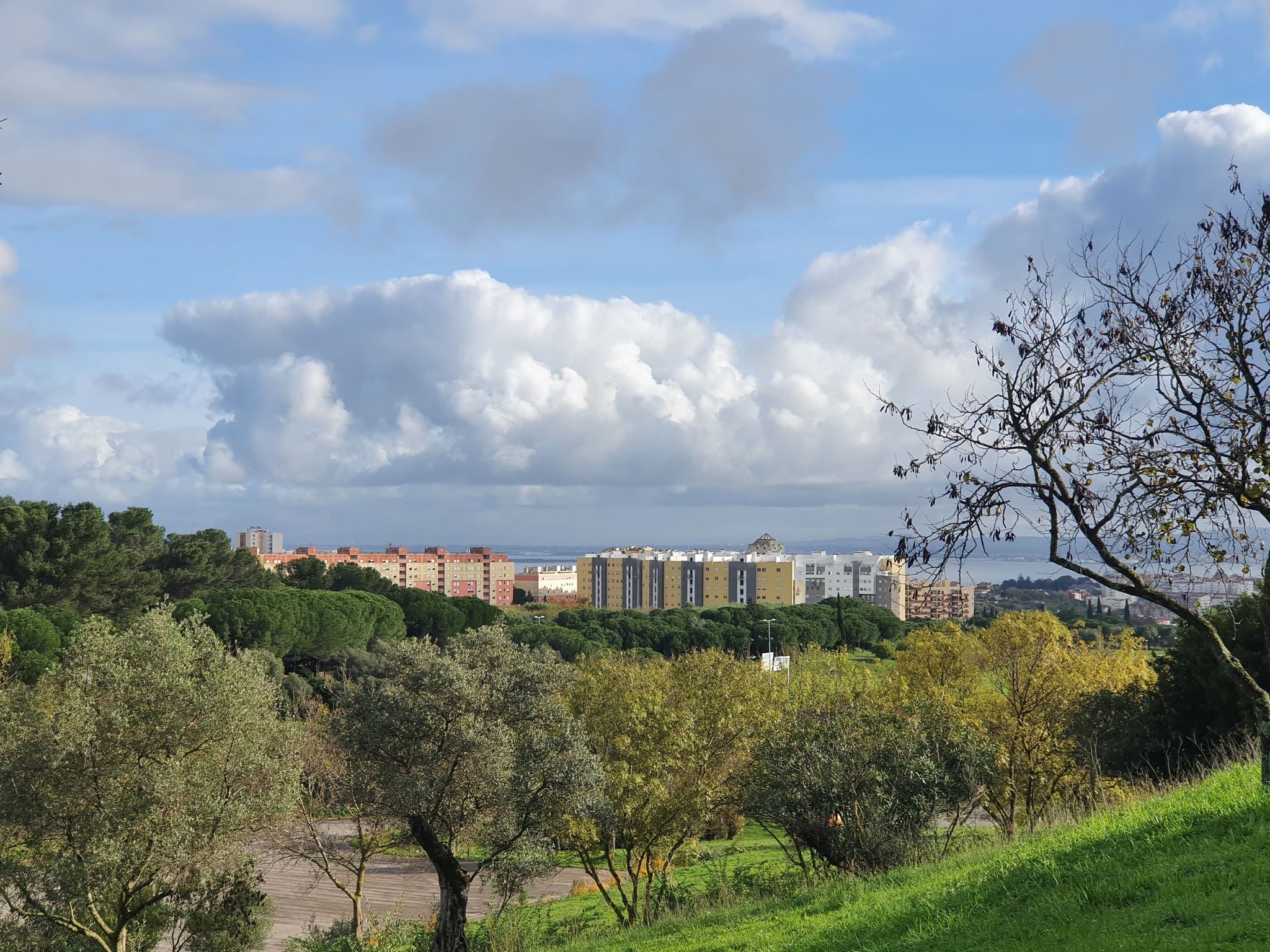 Blick vom Parque de bela vista