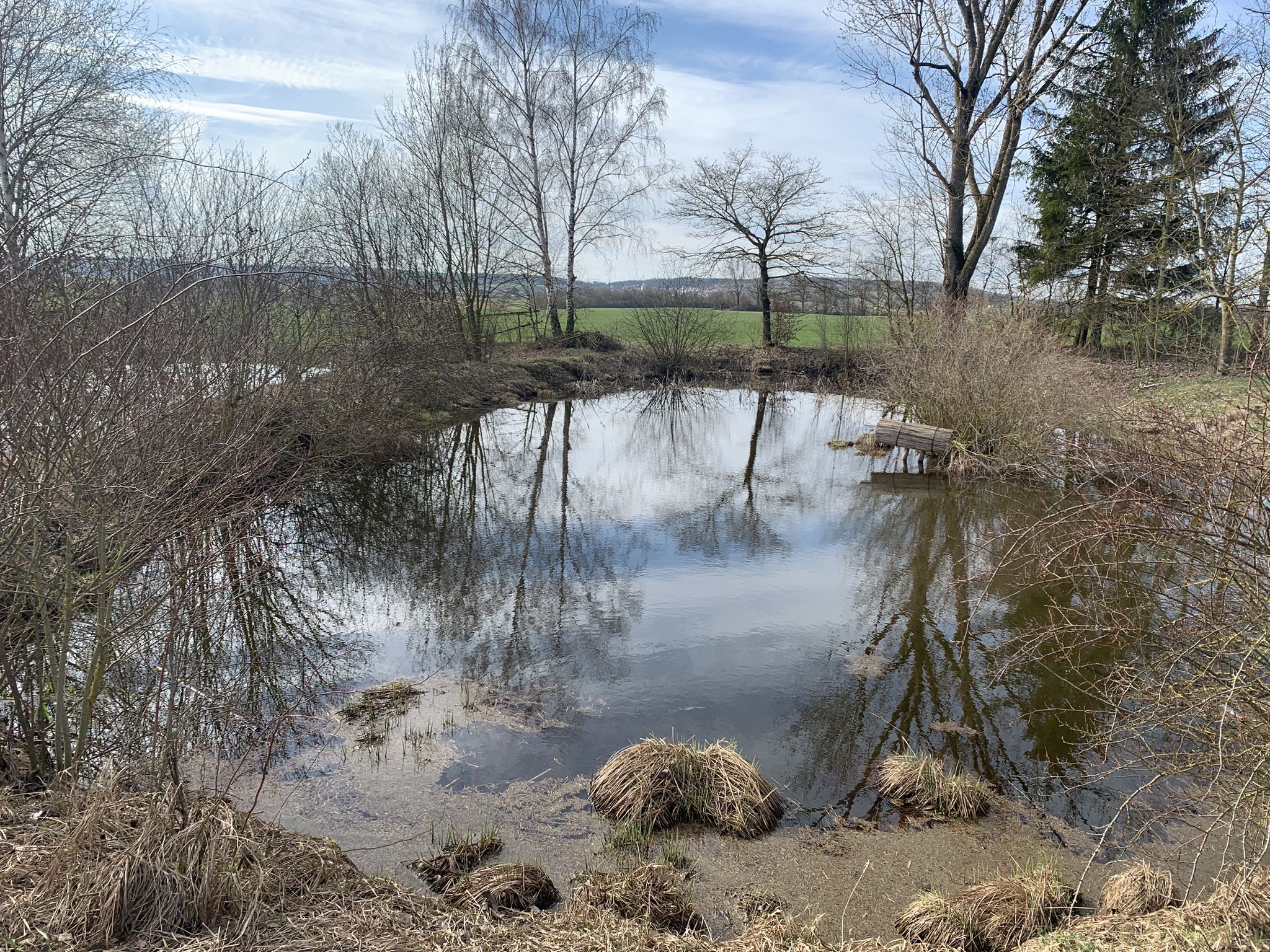 Kleines Biotop bei Mehrstetten