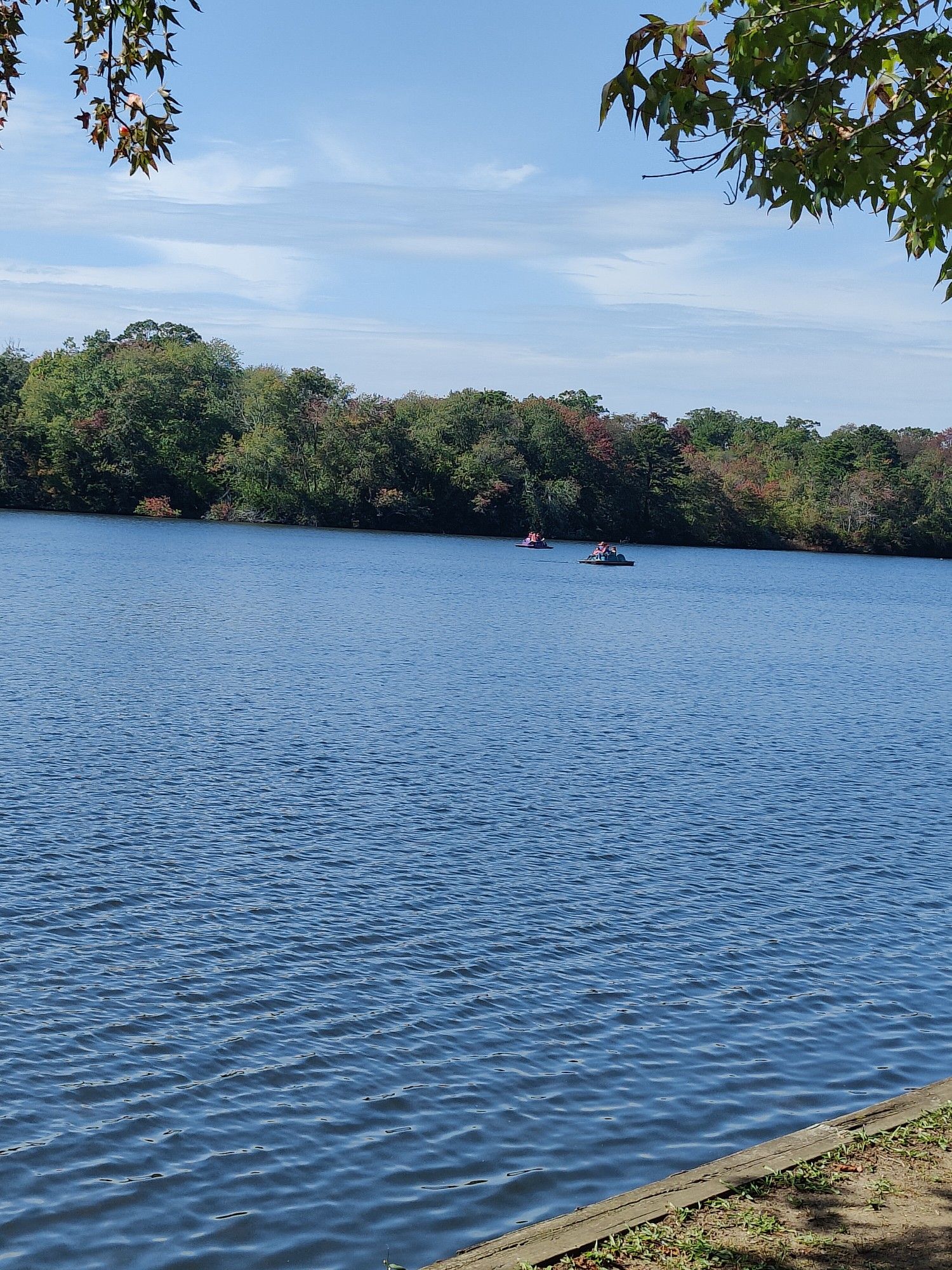 Two small boats on a sunny blue lake surrounded by green trees. - Belmont Lake State Park Loop